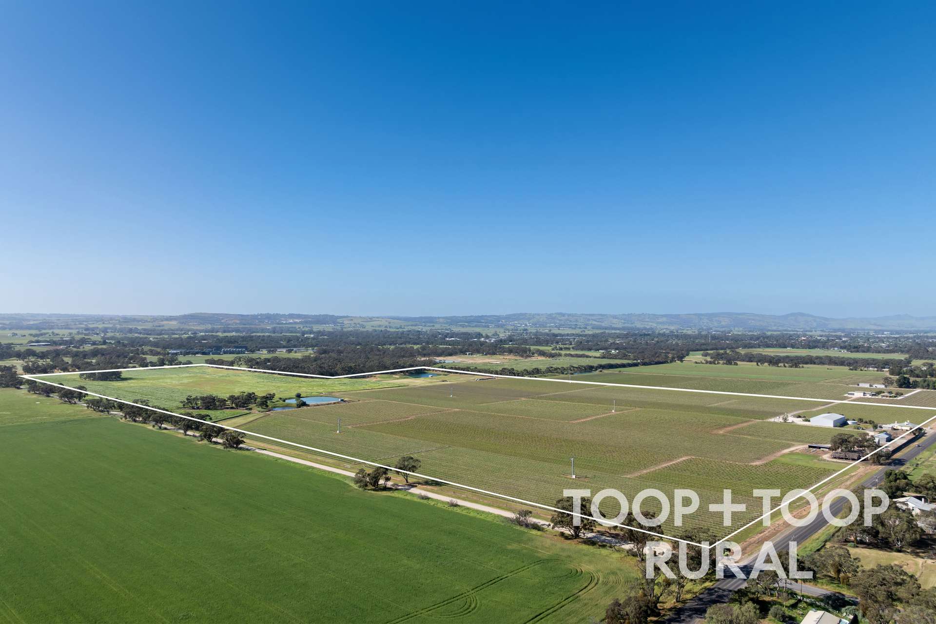 260 Belvidere Road, Nuriootpa For Sale by Farmbuy.com - image 28