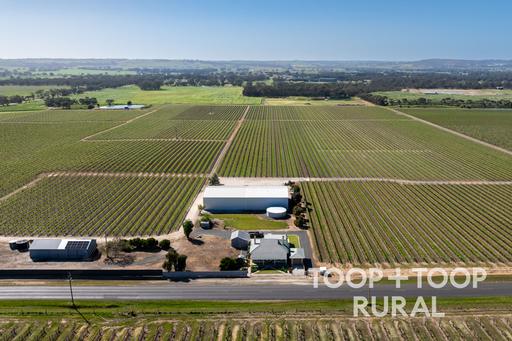 260 Belvidere Road, Nuriootpa SA 5355