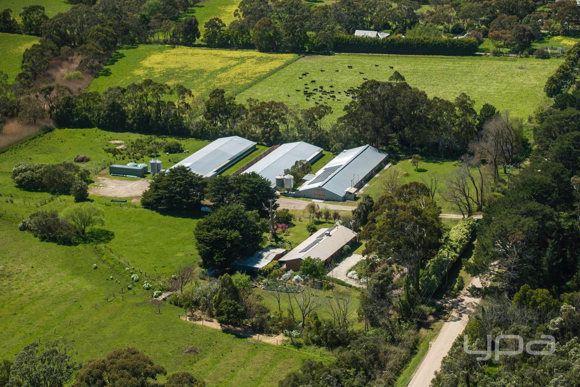 60 Hunts Road, Tuerong For Sale by Farmbuy.com - image 16