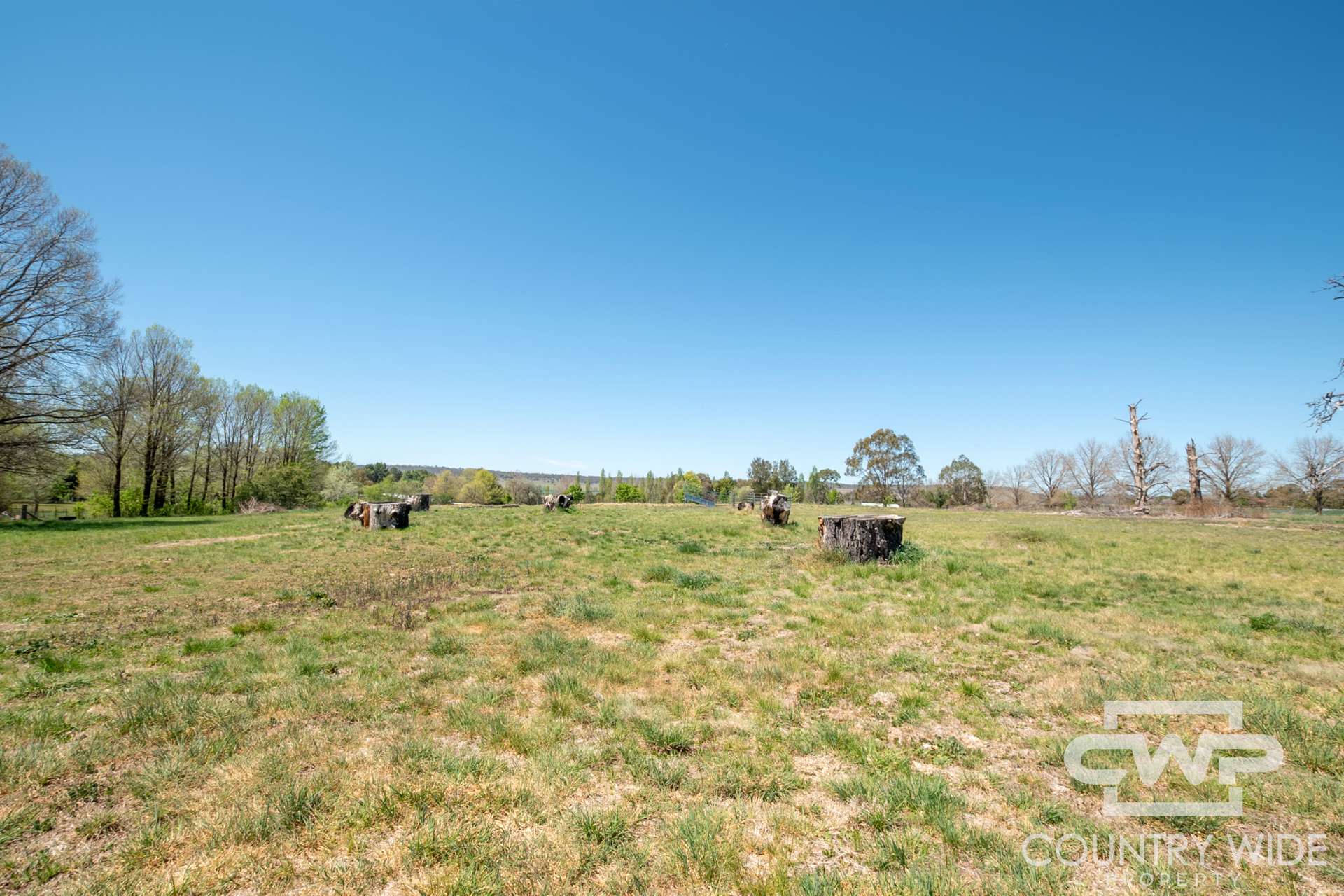 232 Red Range Road, Glen Innes For Sale by Farmbuy.com - image 30
