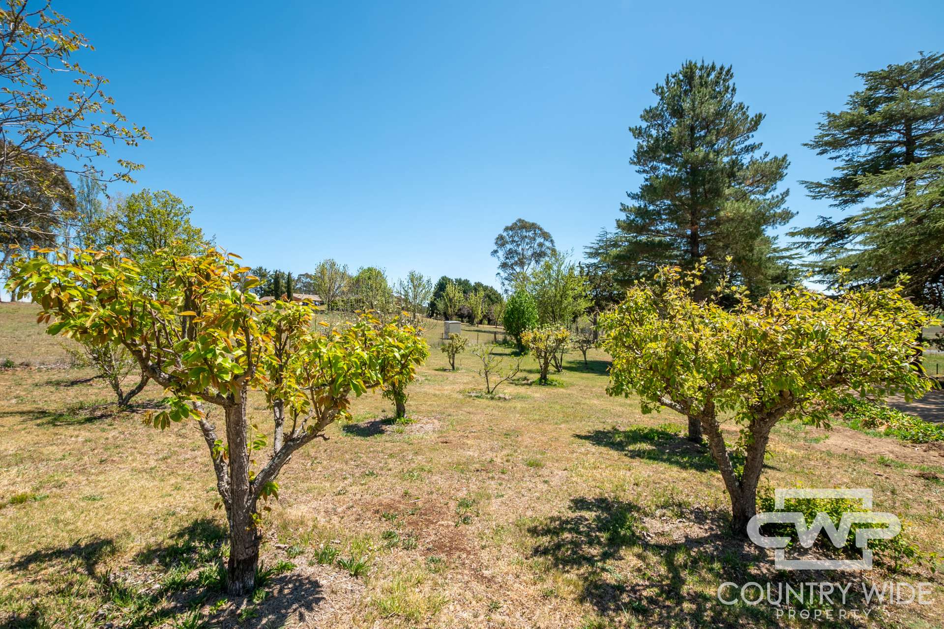 232 Red Range Road, Glen Innes For Sale by Farmbuy.com - image 28