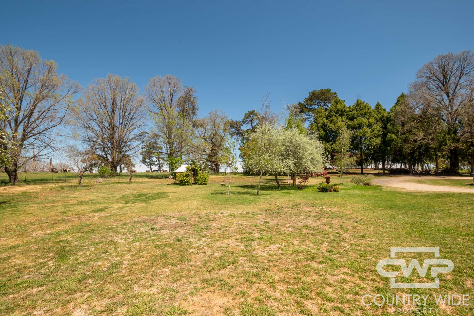 232 Red Range Road, Glen Innes For Sale by Farmbuy.com - image 29
