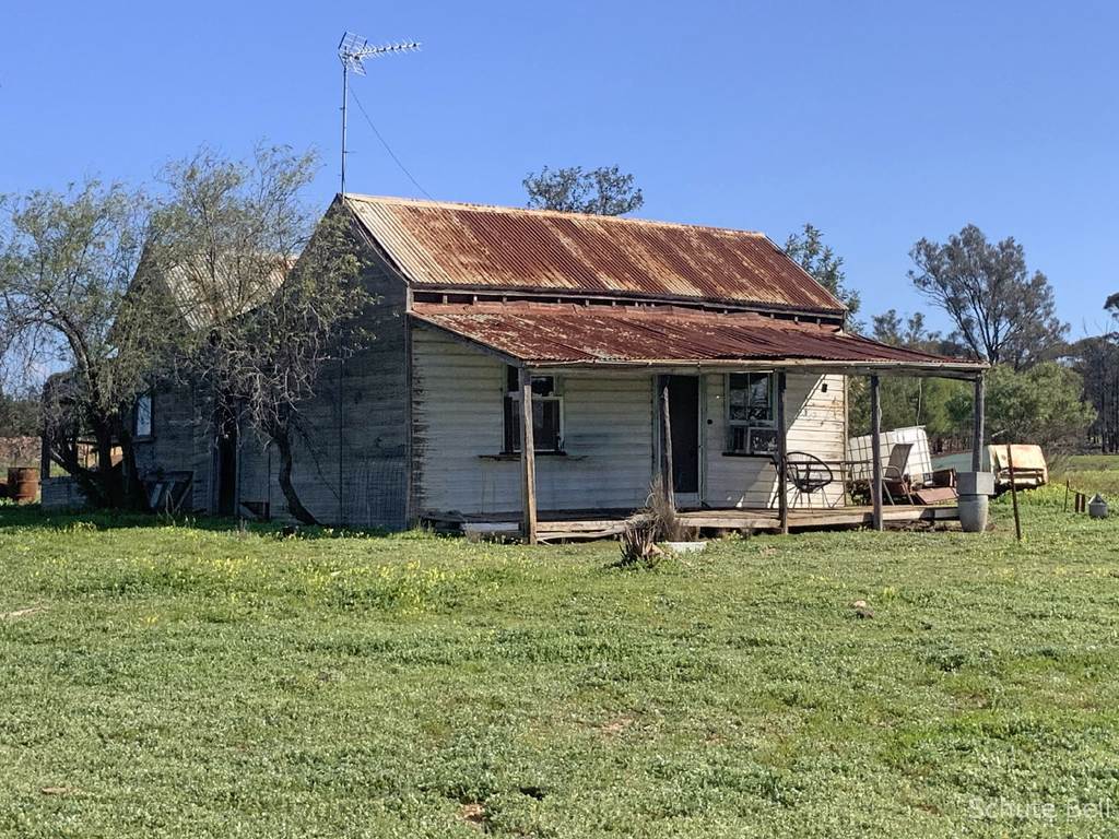 483 Minemoorong Rd, Albert NSW 2873
