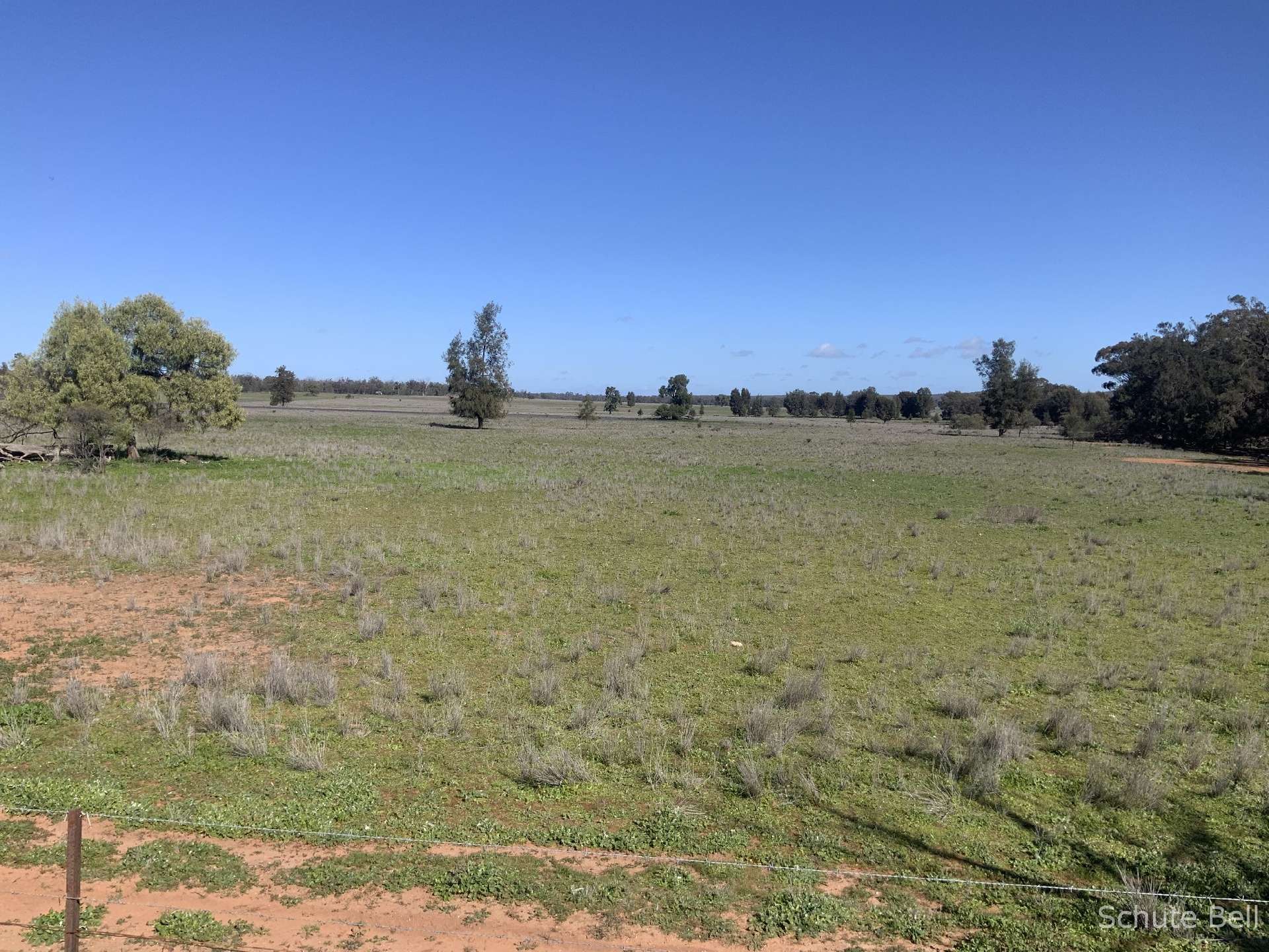 483 Minemoorong Rd, Albert For Sale by Farmbuy.com - image 7