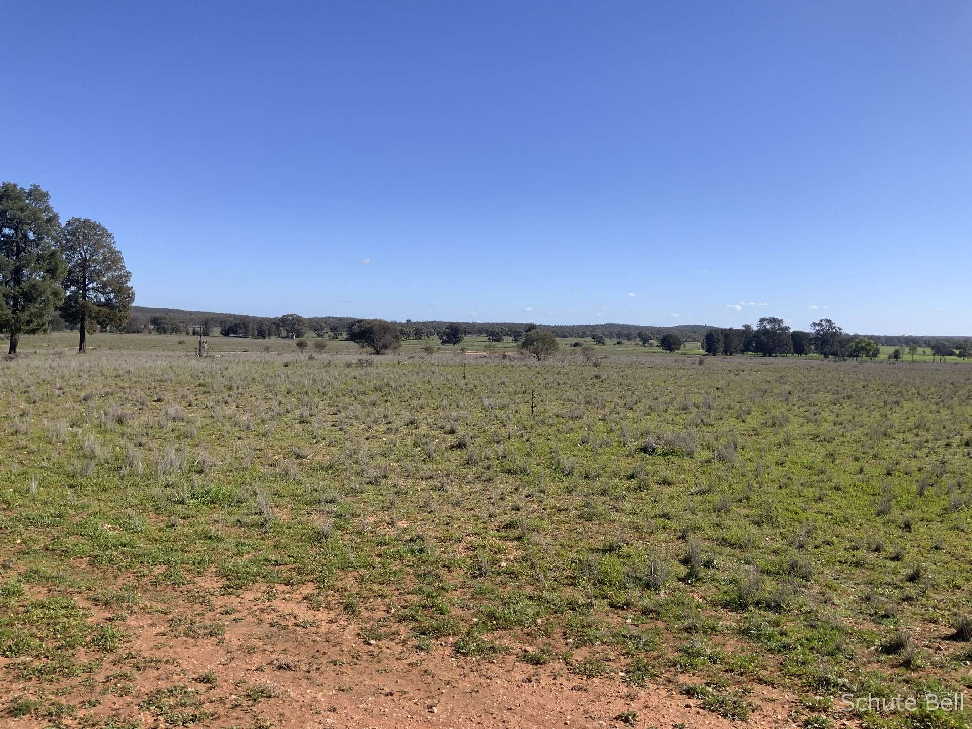 483 Minemoorong Rd, Albert For Sale by Farmbuy.com - image 4