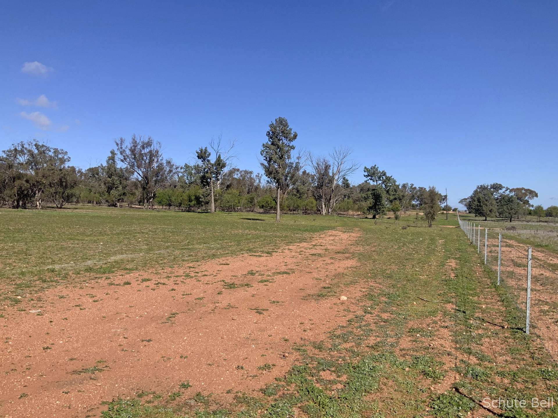 483 Minemoorong Rd, Albert For Sale by Farmbuy.com - image 10