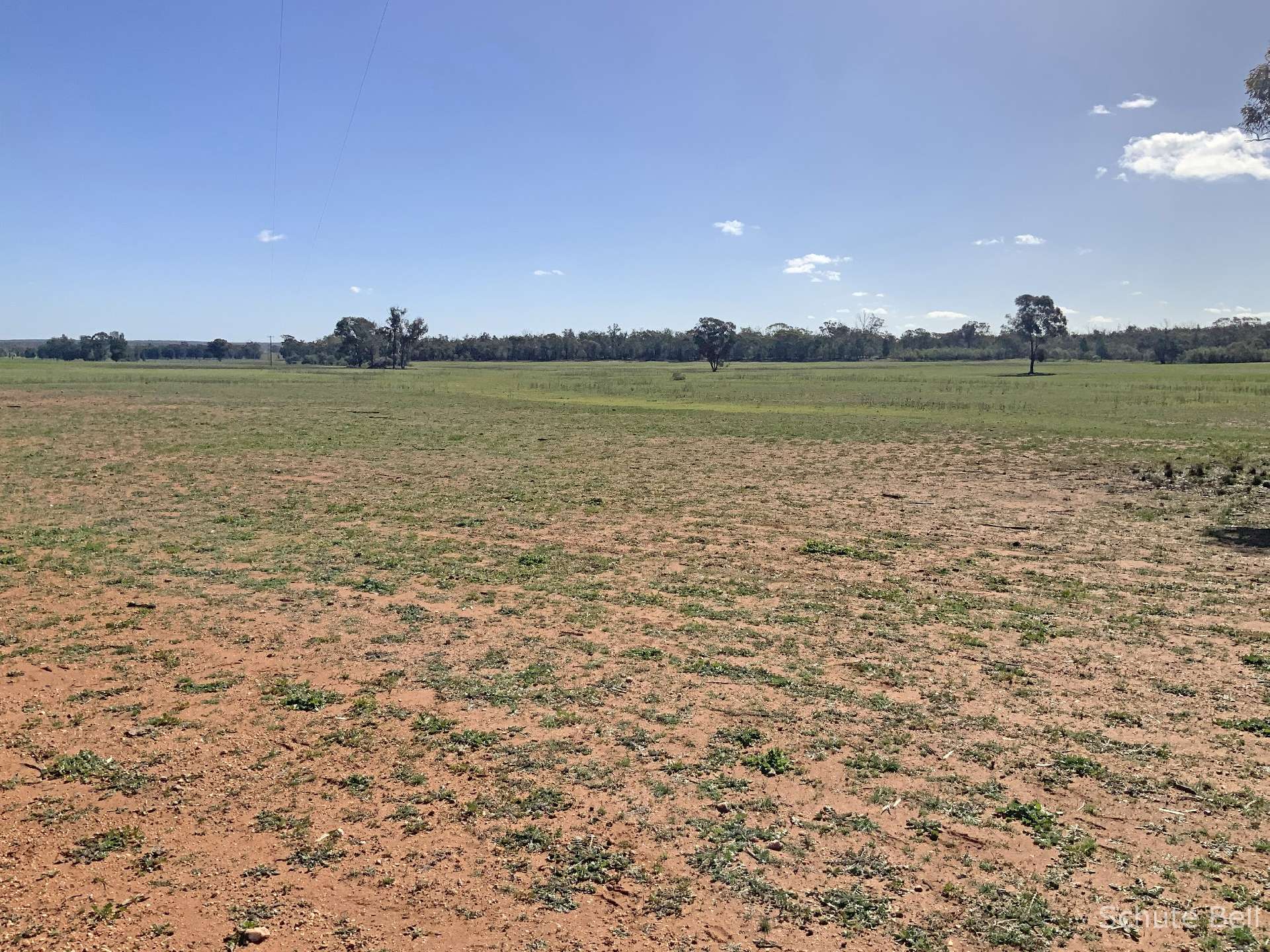 483 Minemoorong Rd, Albert For Sale by Farmbuy.com - image 17