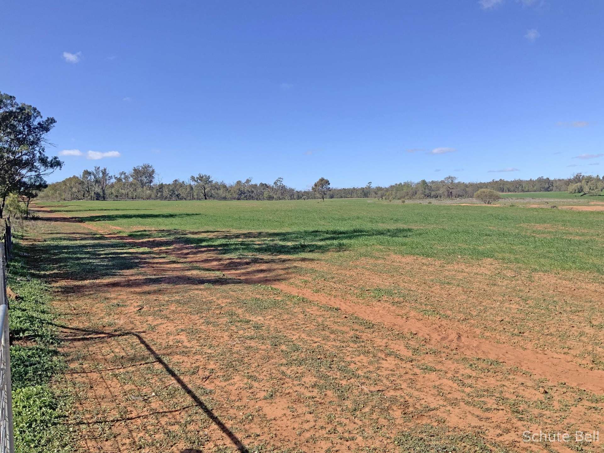 483 Minemoorong Rd, Albert For Sale by Farmbuy.com - image 2