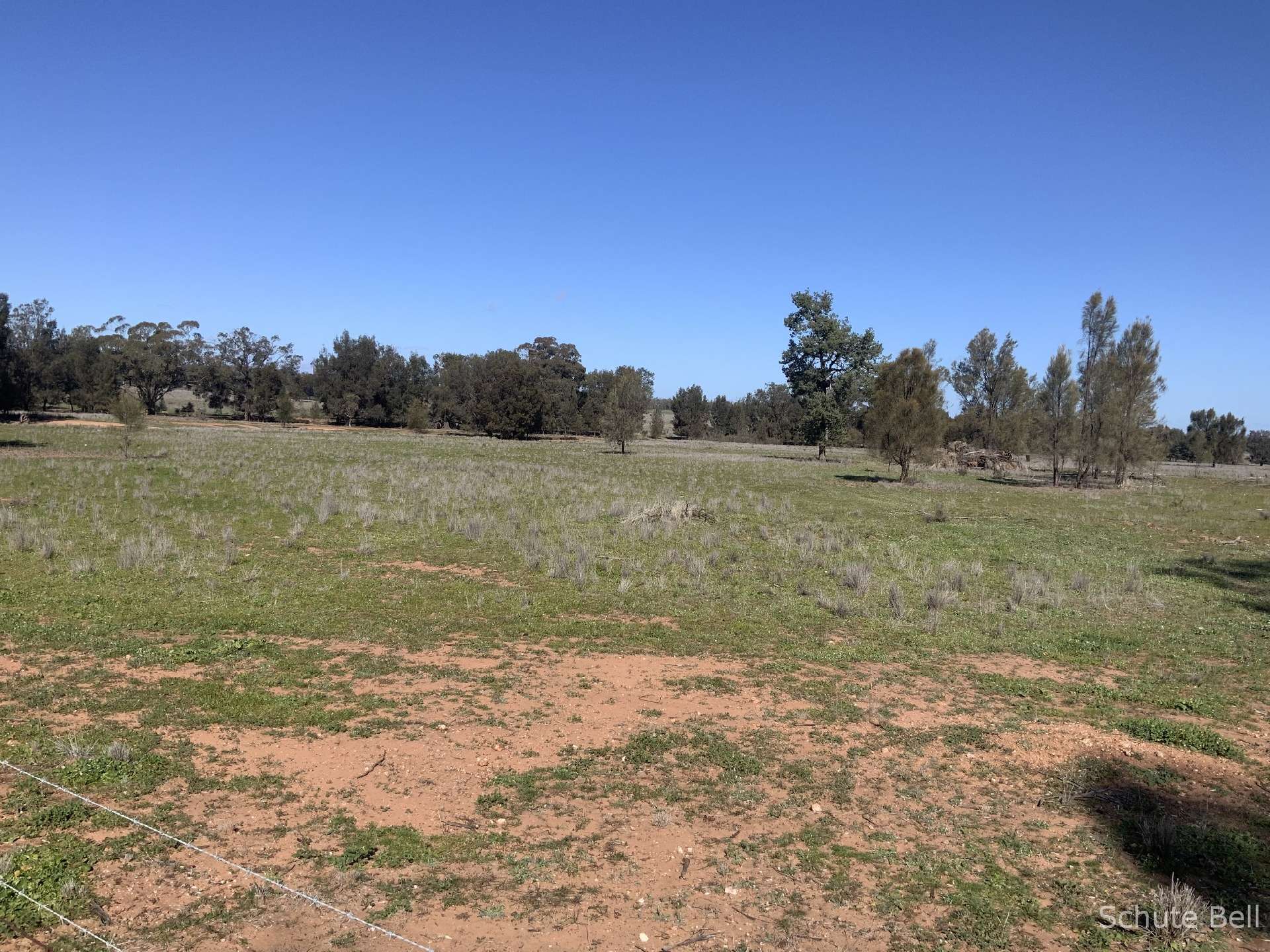 483 Minemoorong Rd, Albert For Sale by Farmbuy.com - image 8