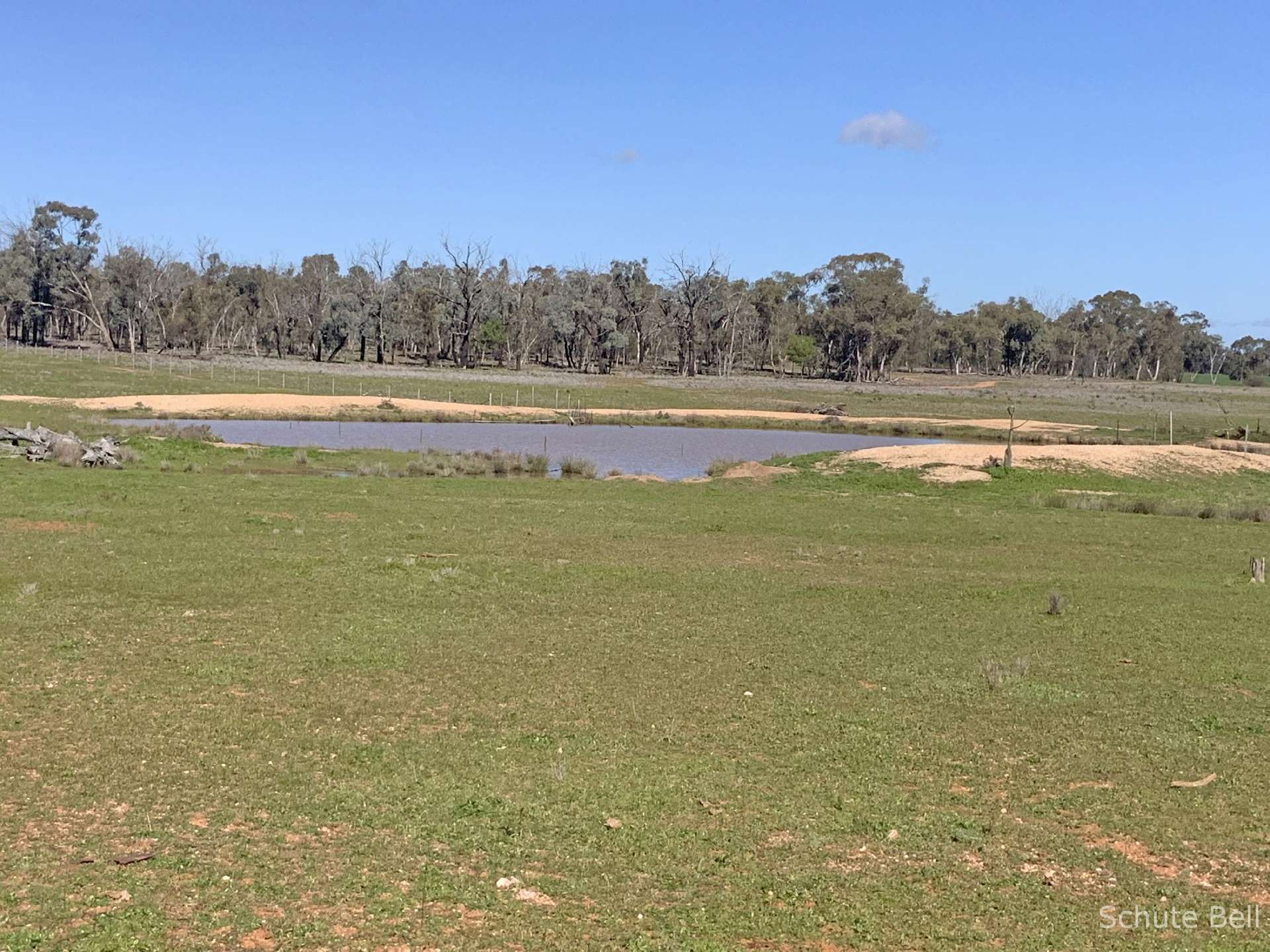 483 Minemoorong Rd, Albert For Sale by Farmbuy.com - image 9