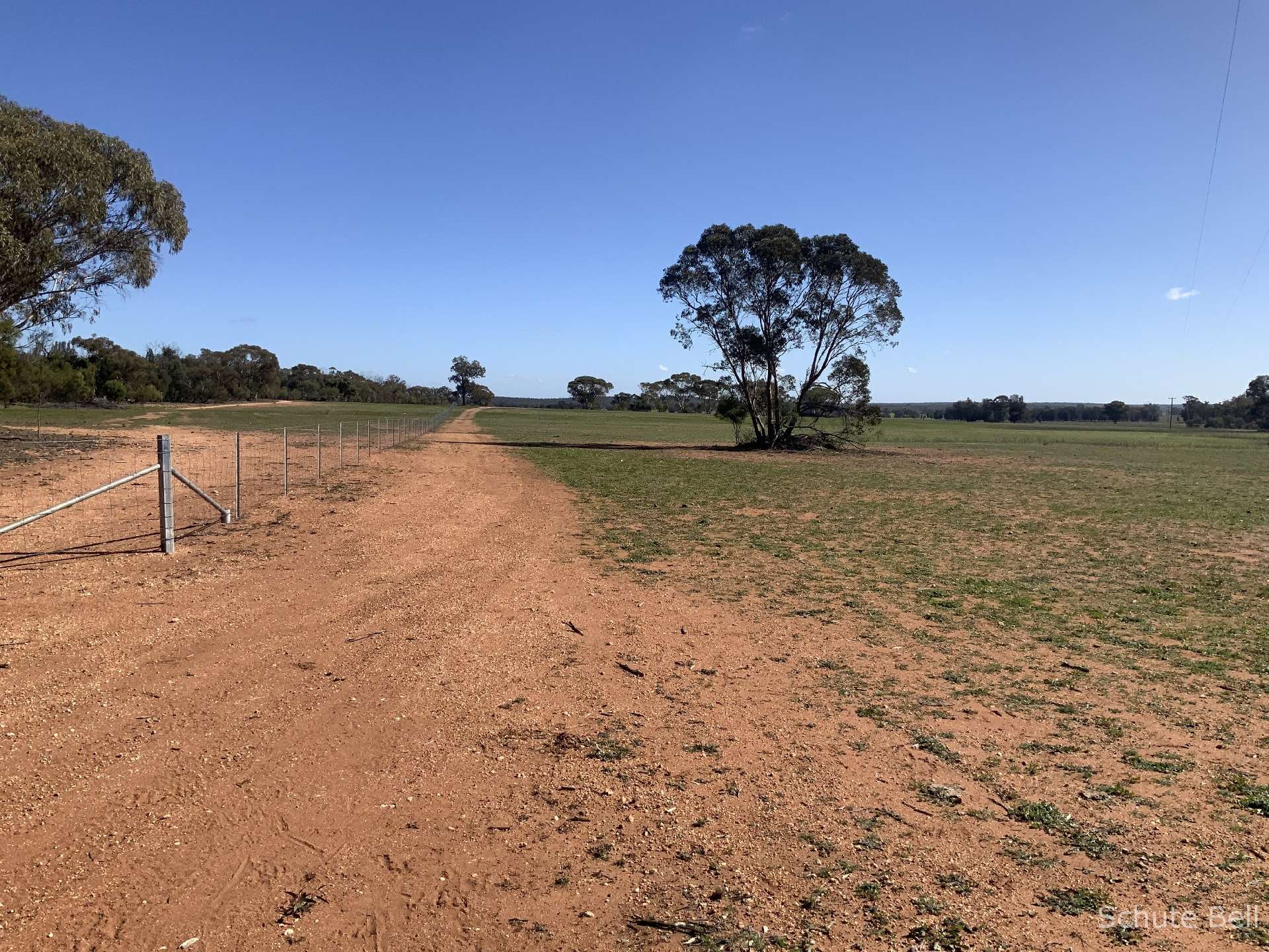 483 Minemoorong Rd, Albert For Sale by Farmbuy.com - image 13