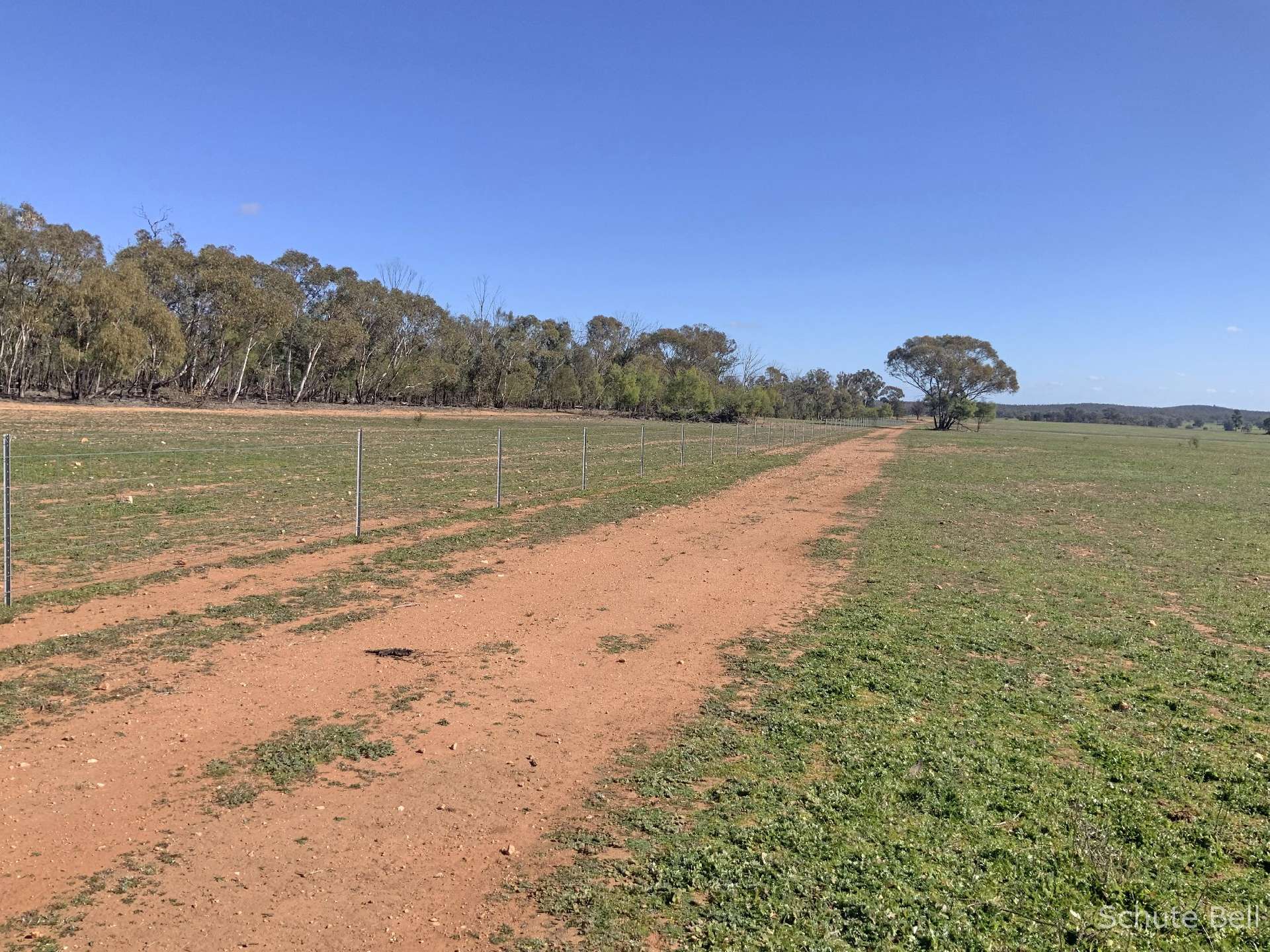 483 Minemoorong Rd, Albert For Sale by Farmbuy.com - image 11