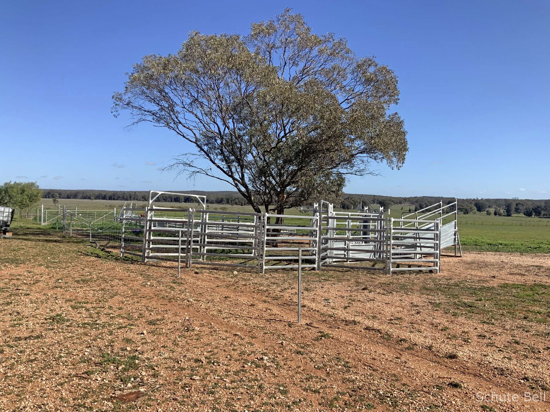 483 Minemoorong Rd, Albert For Sale by Farmbuy.com - image 3