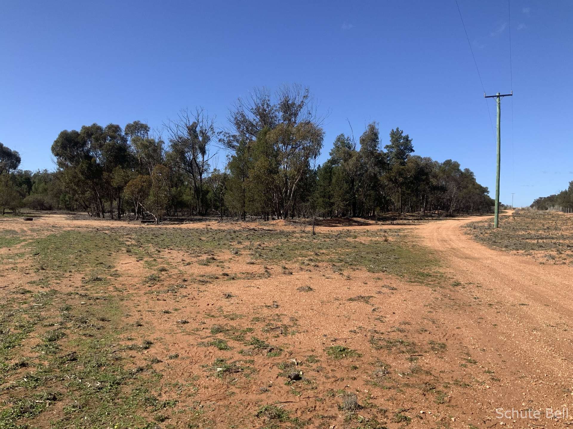 483 Minemoorong Rd, Albert For Sale by Farmbuy.com - image 18