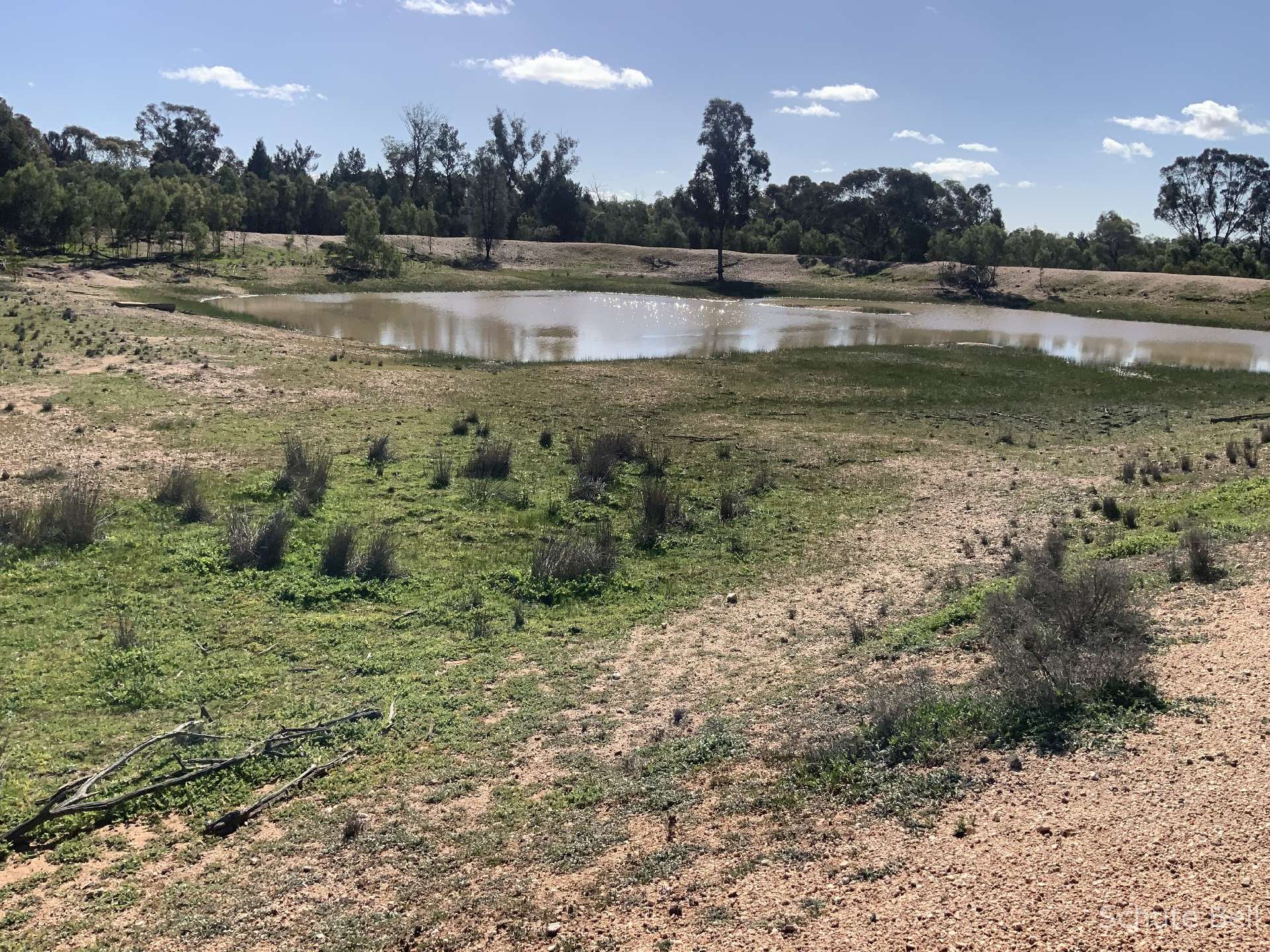 483 Minemoorong Rd, Albert For Sale by Farmbuy.com - image 5