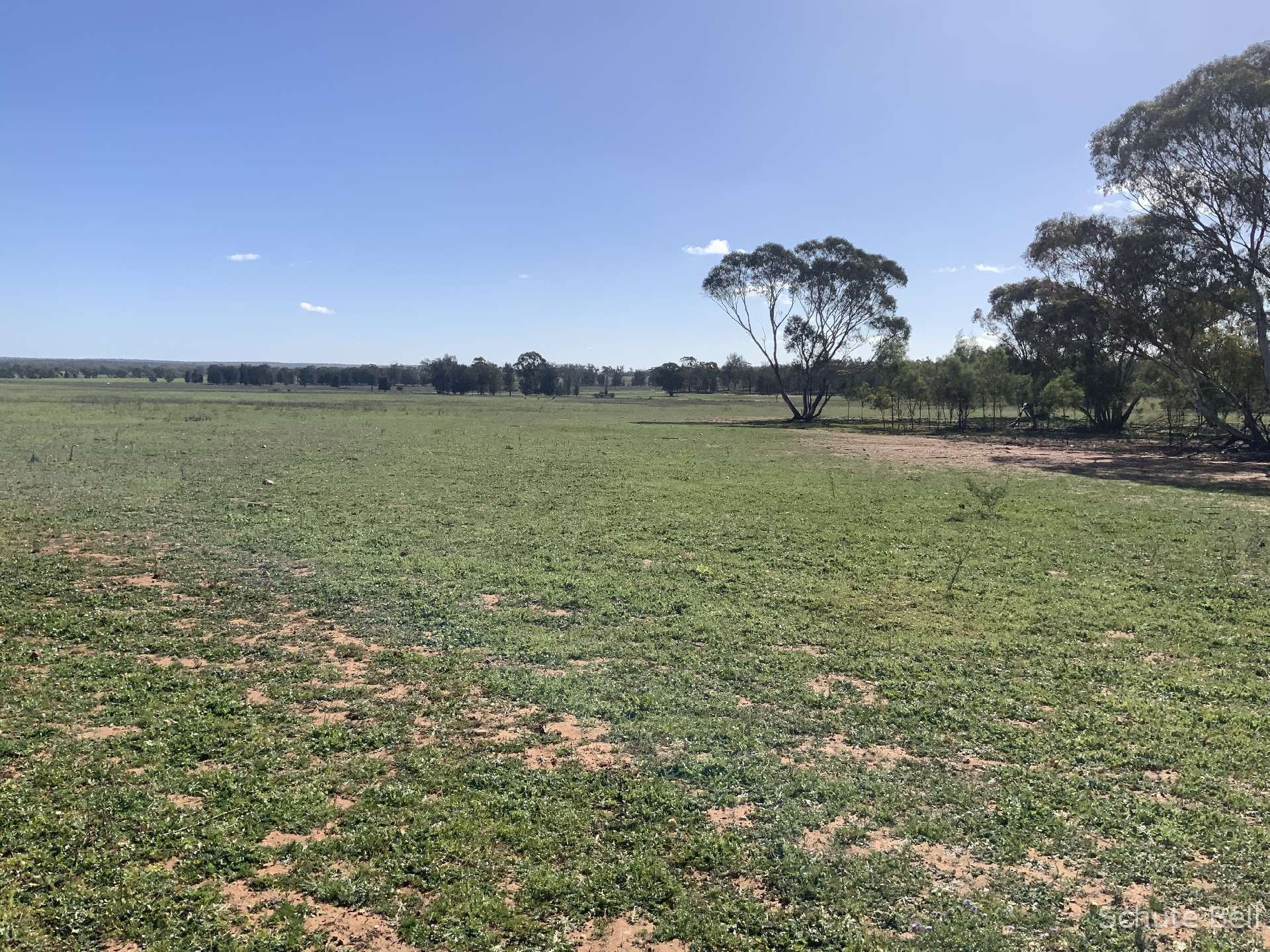 483 Minemoorong Rd, Albert For Sale by Farmbuy.com - image 12