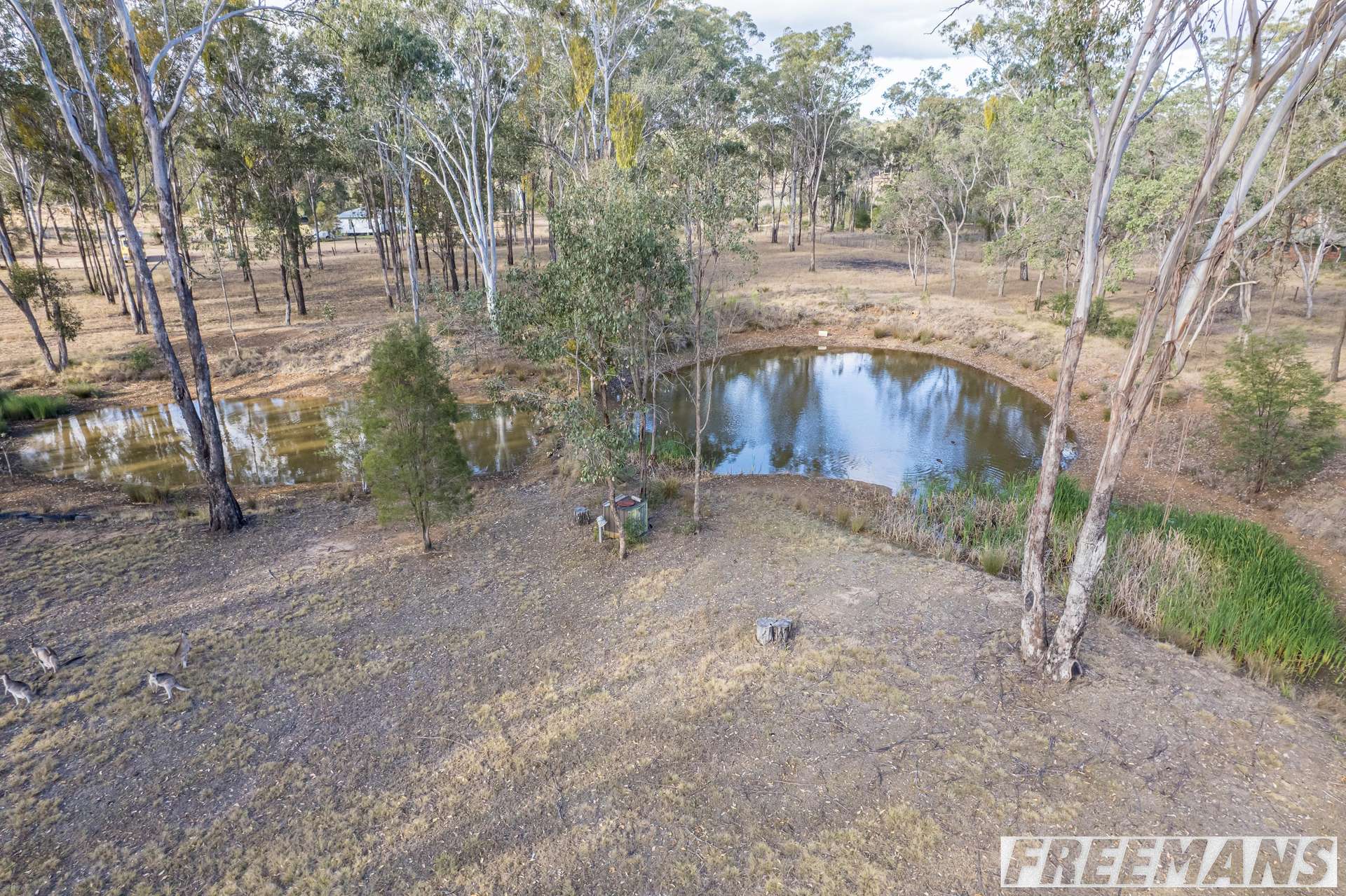 45 Pitts Road, South Nanango For Sale by Farmbuy.com - image 24