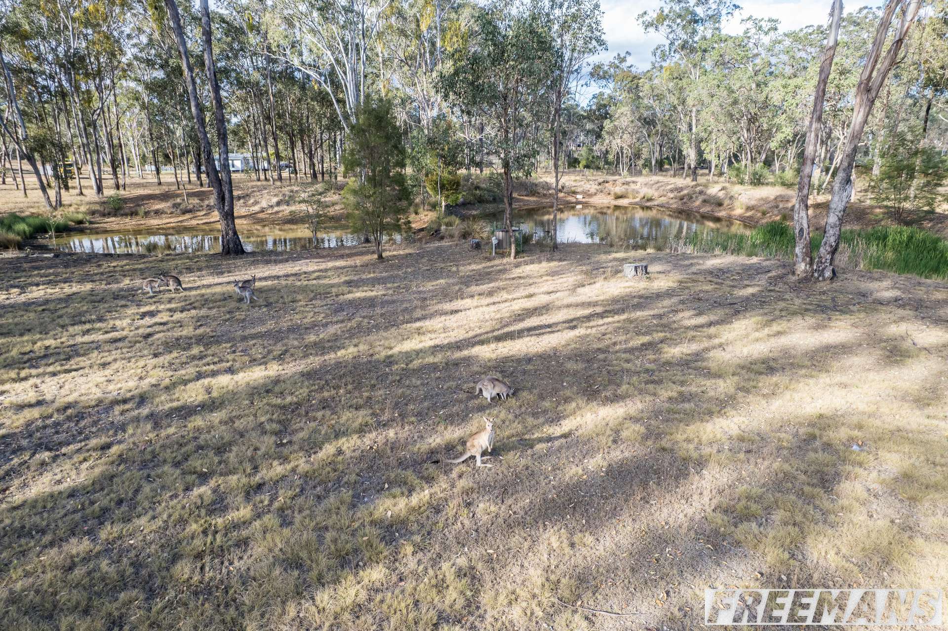 45 Pitts Road, South Nanango For Sale by Farmbuy.com - image 23