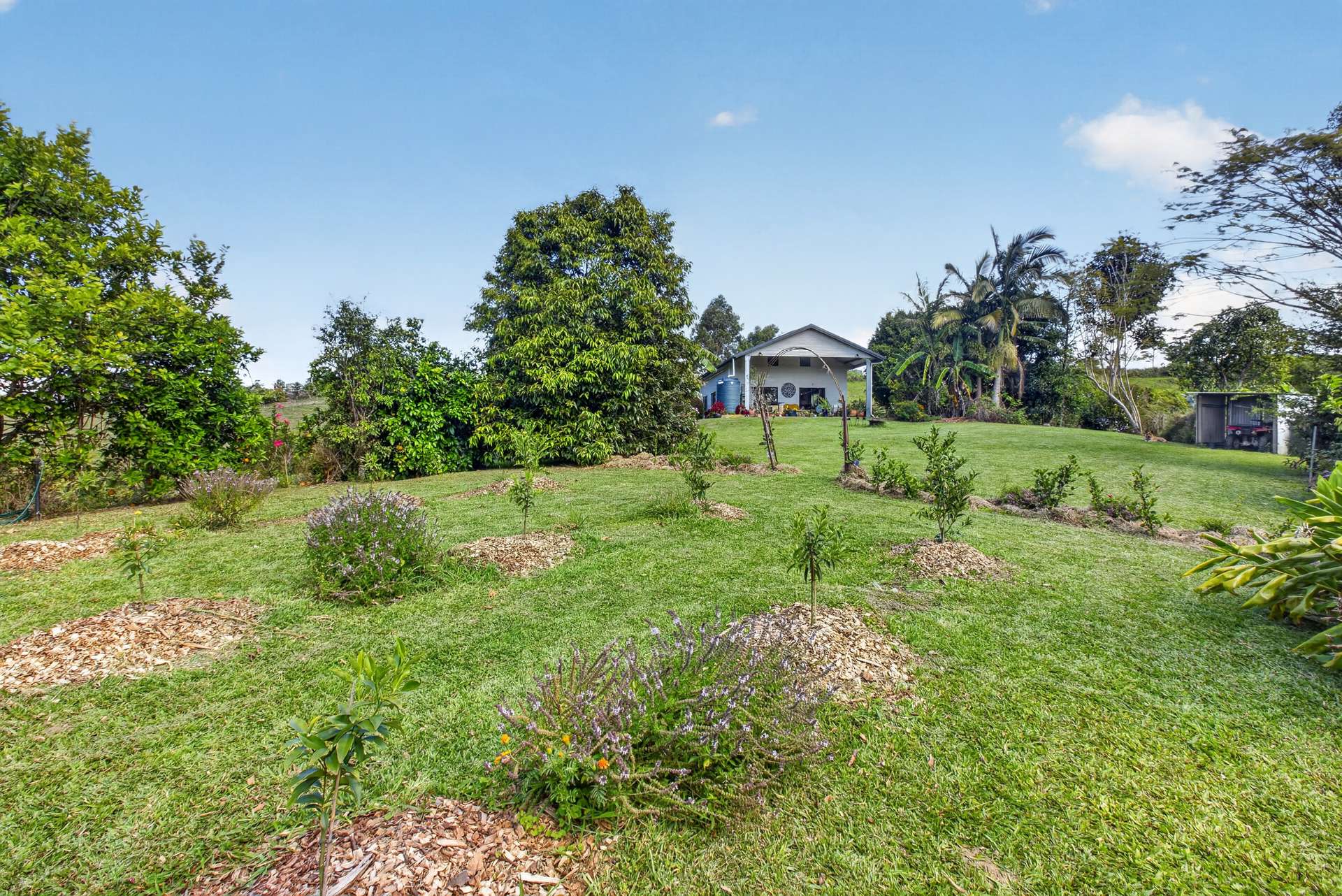 162 Lloyd Road, Barrine For Sale by Farmbuy.com - image 24