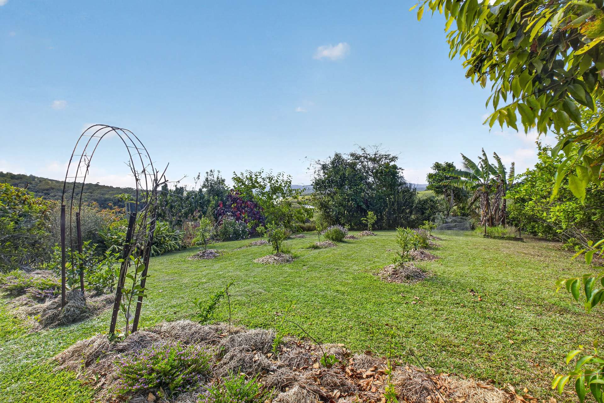 162 Lloyd Road, Barrine For Sale by Farmbuy.com - image 22