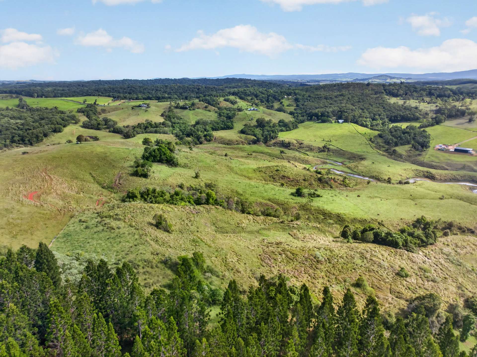 162 Lloyd Road, Barrine For Sale by Farmbuy.com - image 31