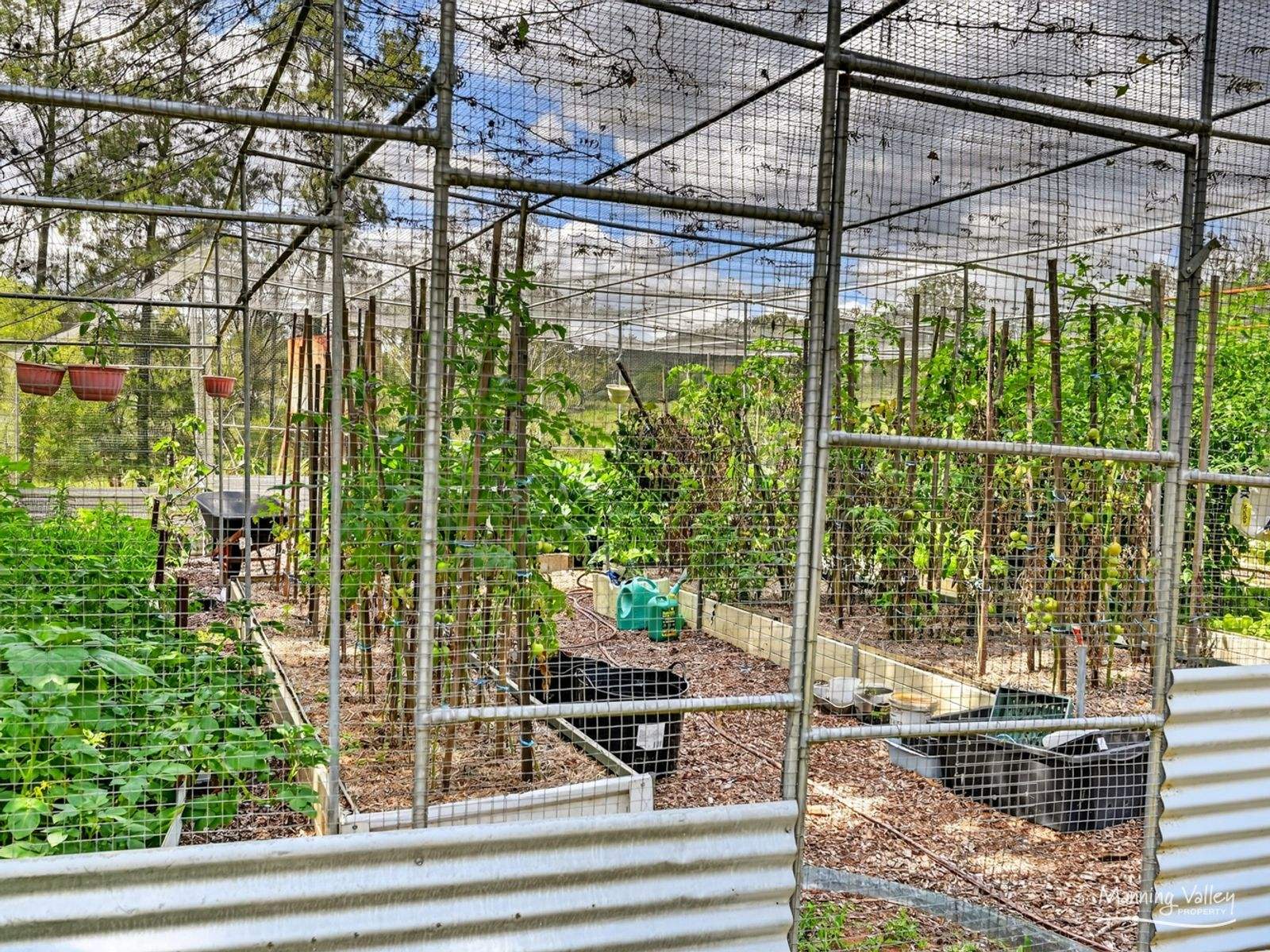 678 Caparra Road, Caparra For Sale by Farmbuy.com - image 22