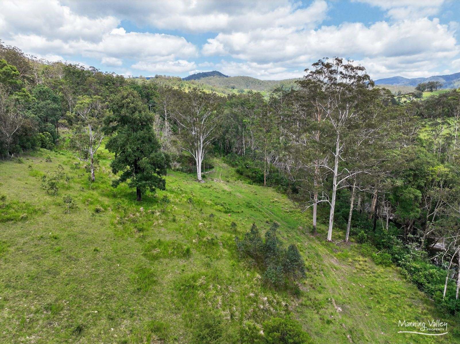 678 Caparra Road, Caparra For Sale by Farmbuy.com - image 31