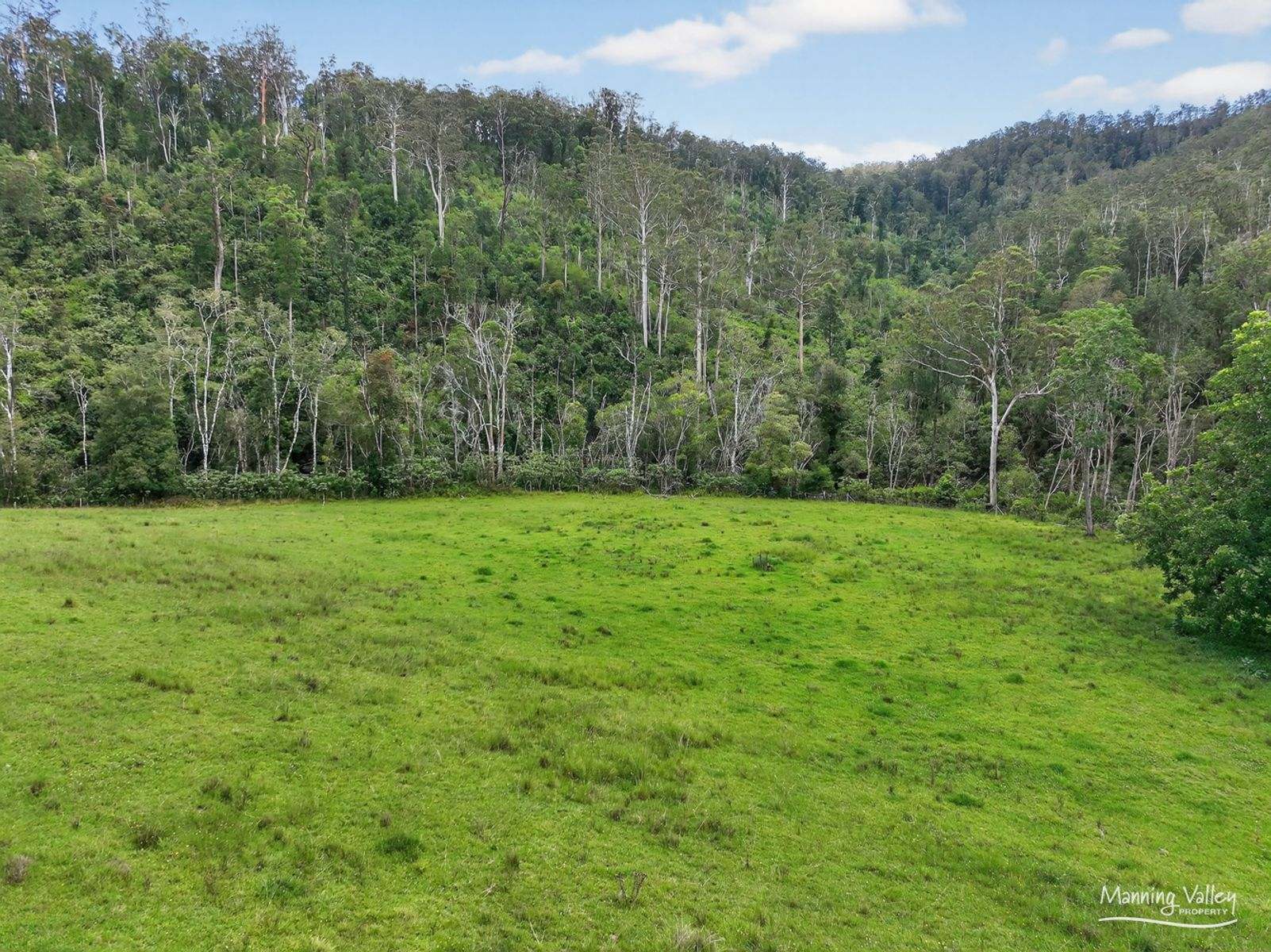 678 Caparra Road, Caparra For Sale by Farmbuy.com - image 27
