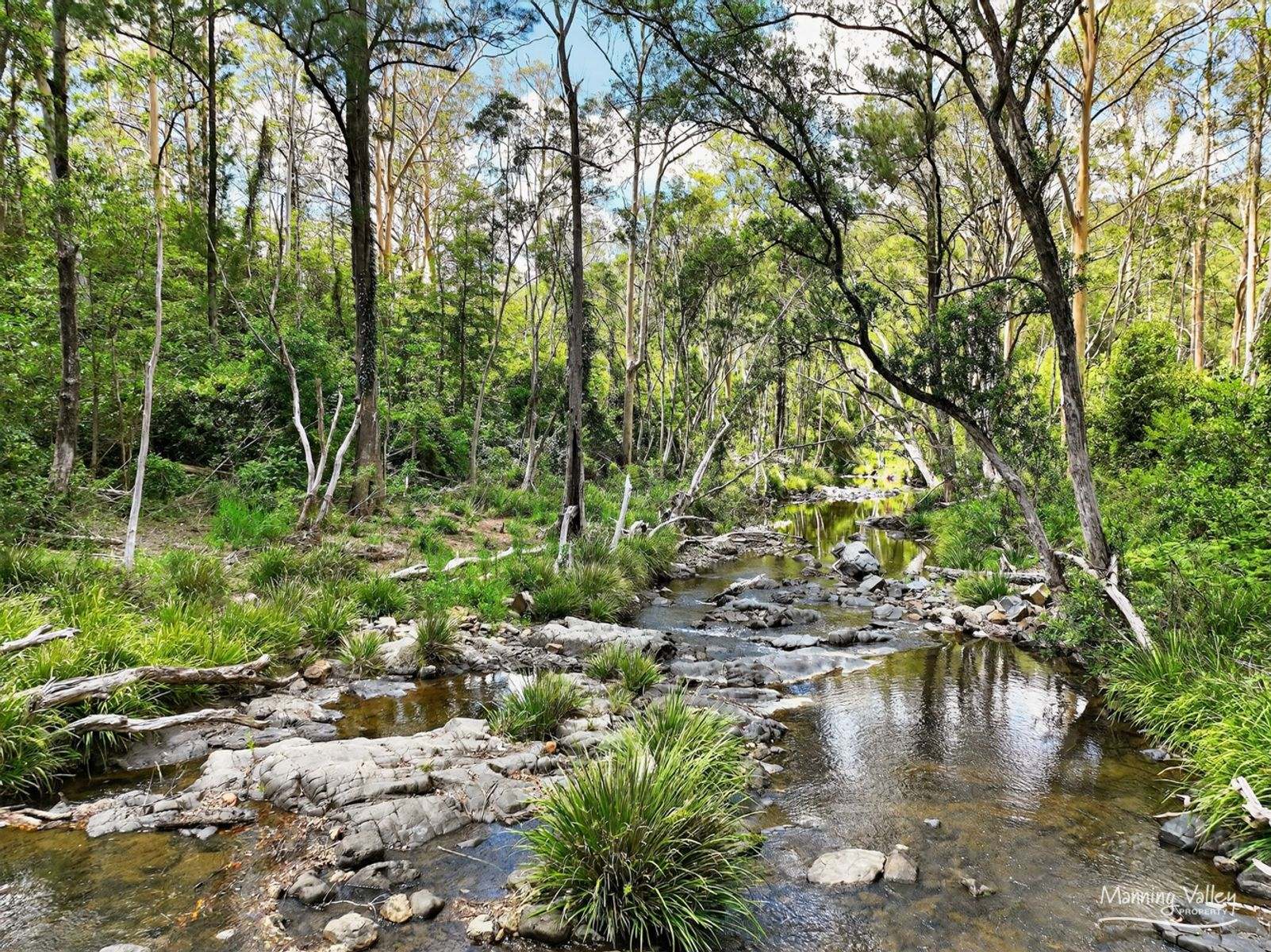 678 Caparra Road, Caparra For Sale by Farmbuy.com - image 29