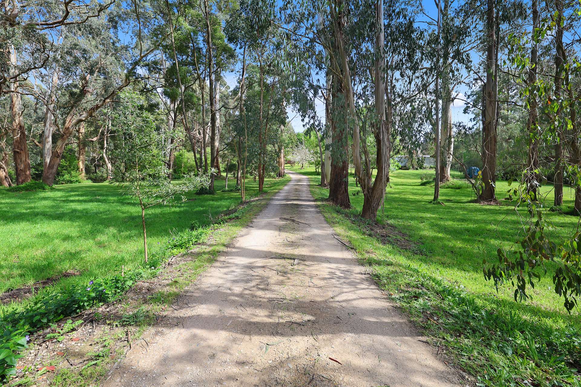 12A Pine Grove, Warragul For Sale by Farmbuy.com - image 30