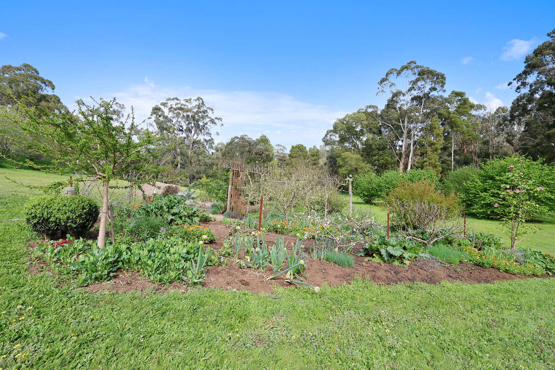 12A Pine Grove, Warragul For Sale by Farmbuy.com - image 27