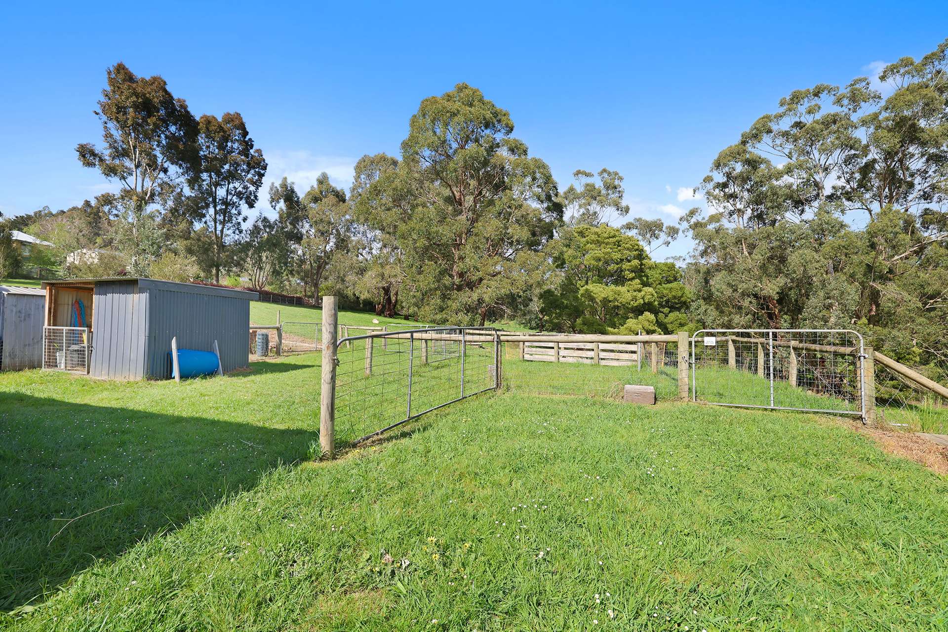 12A Pine Grove, Warragul For Sale by Farmbuy.com - image 21