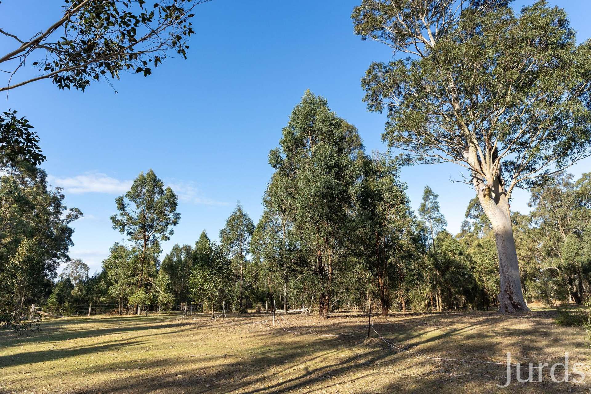 139 Lake Road, Elrington For Sale by Farmbuy.com - image 30