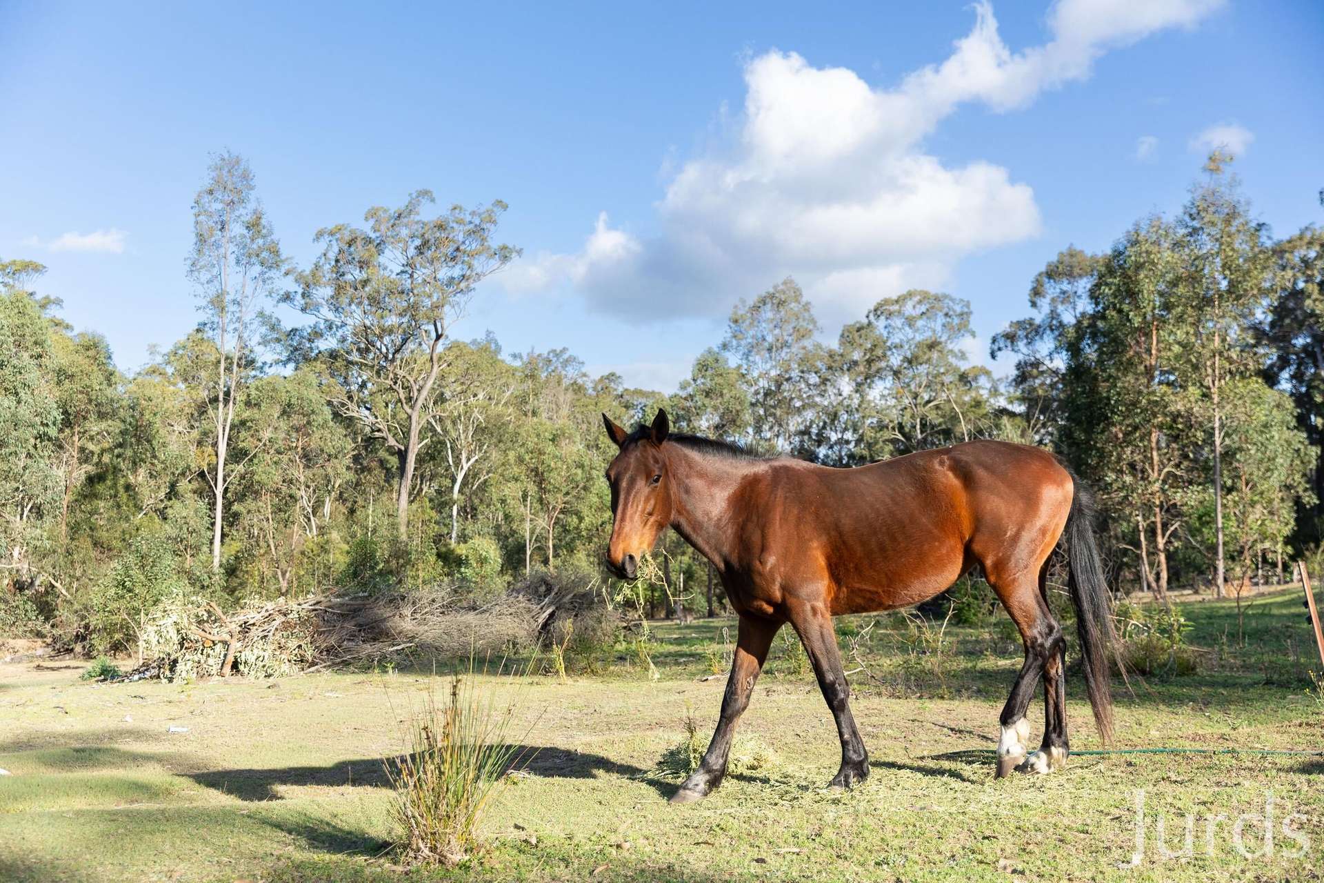 139 Lake Road, Elrington For Sale by Farmbuy.com - image 24