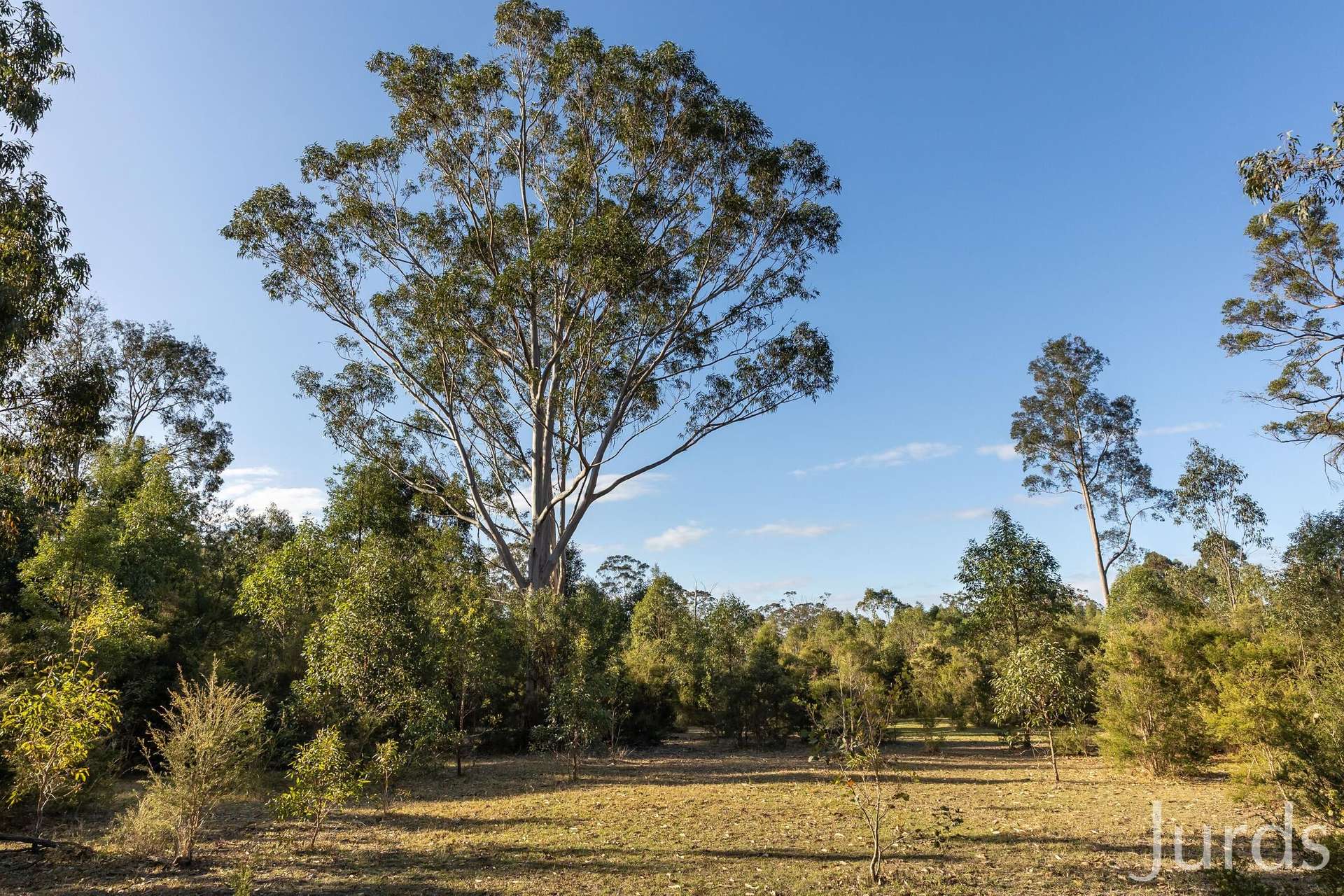 139 Lake Road, Elrington For Sale by Farmbuy.com - image 28