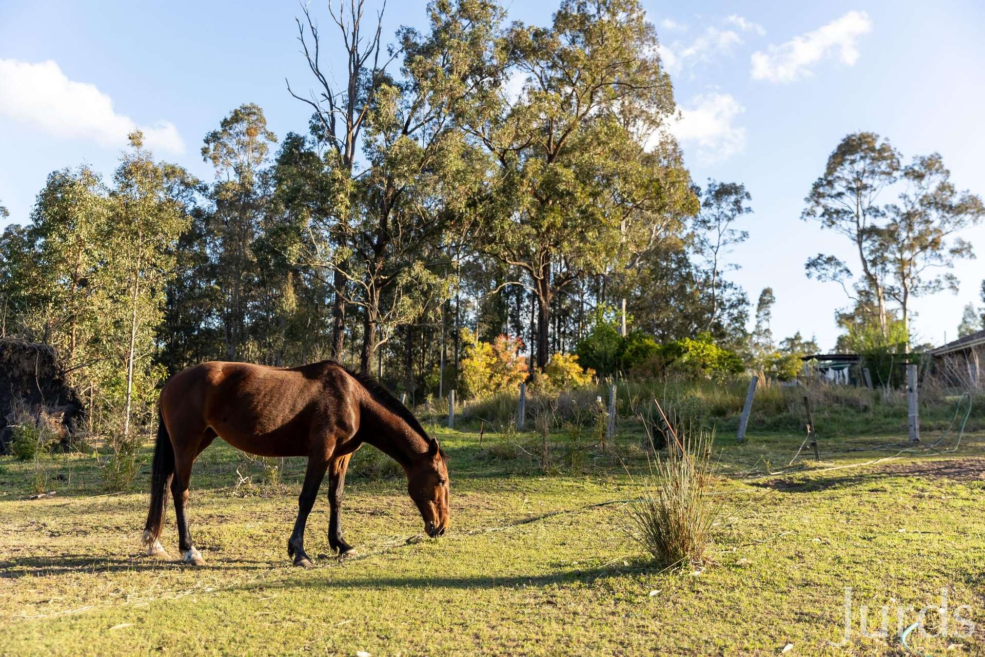 139 Lake Road, Elrington For Sale by Farmbuy.com - image 3