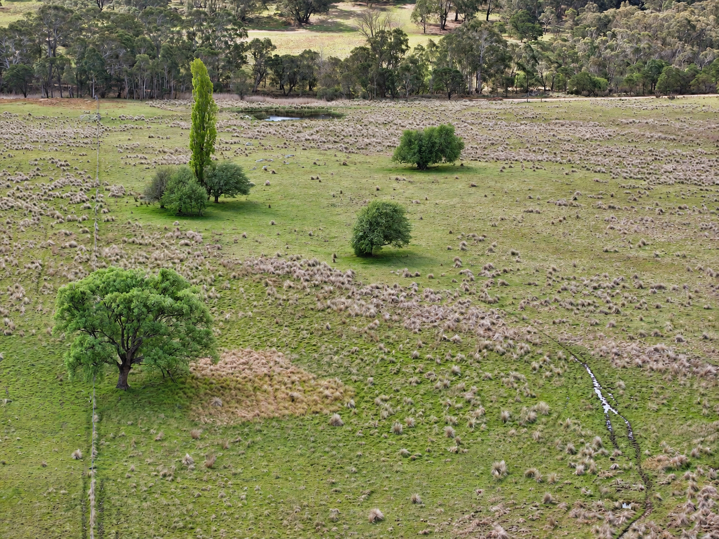 264 Halls Lane, Durran Durra For Sale by Farmbuy.com - image 7