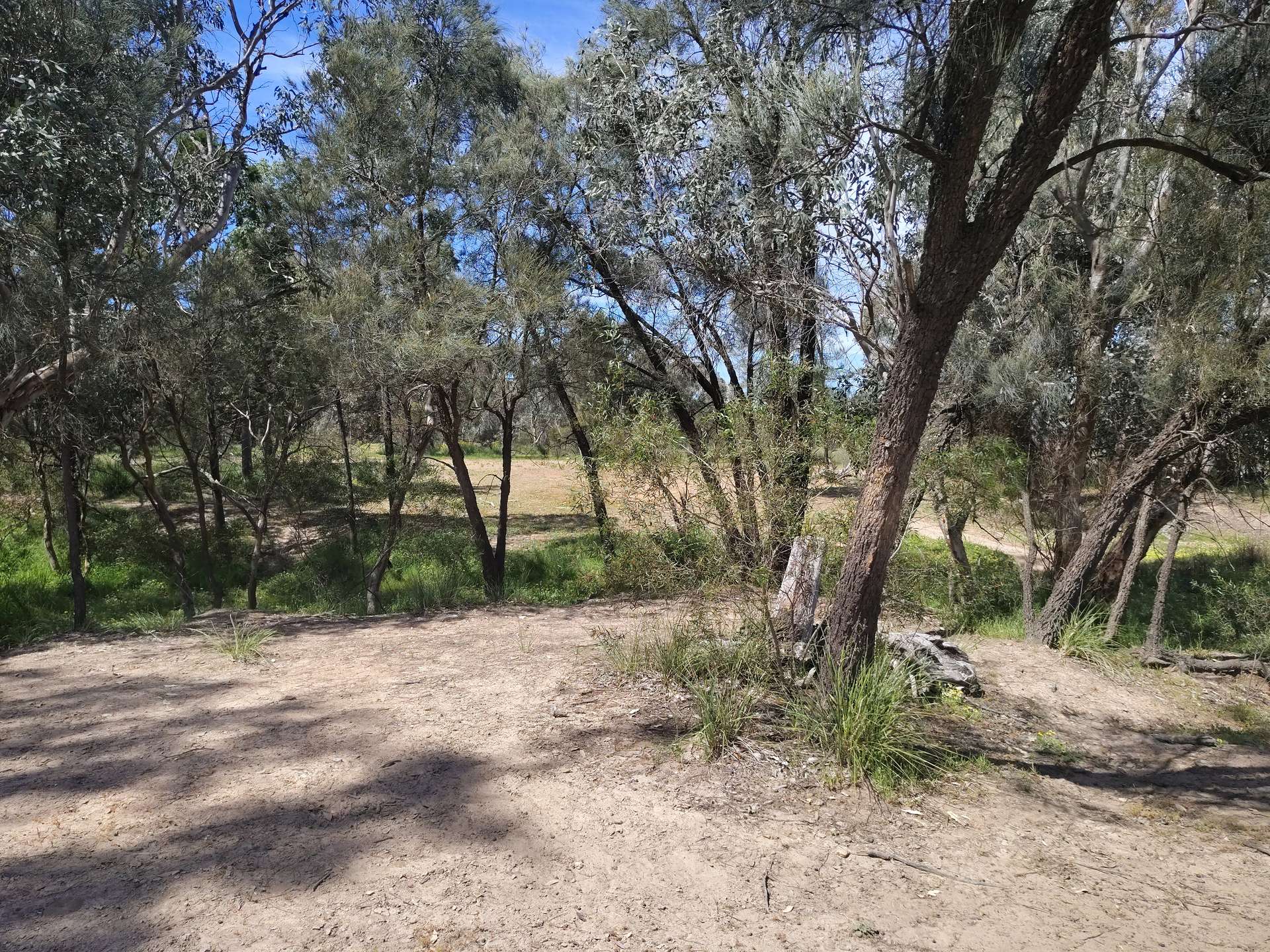 36C Makins Street, Grenfell For Sale by Farmbuy.com - image 12