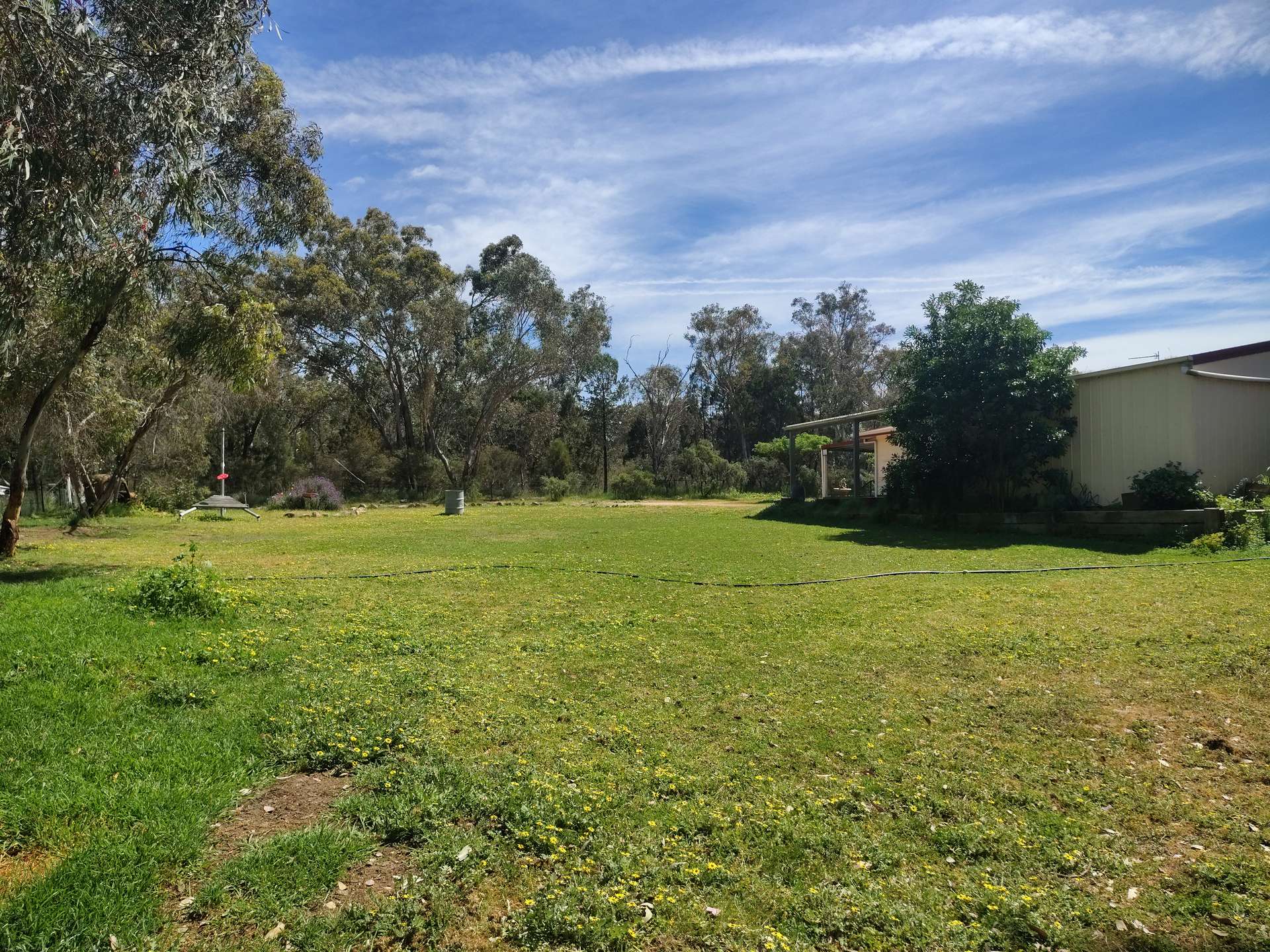 36C Makins Street, Grenfell For Sale by Farmbuy.com - image 10