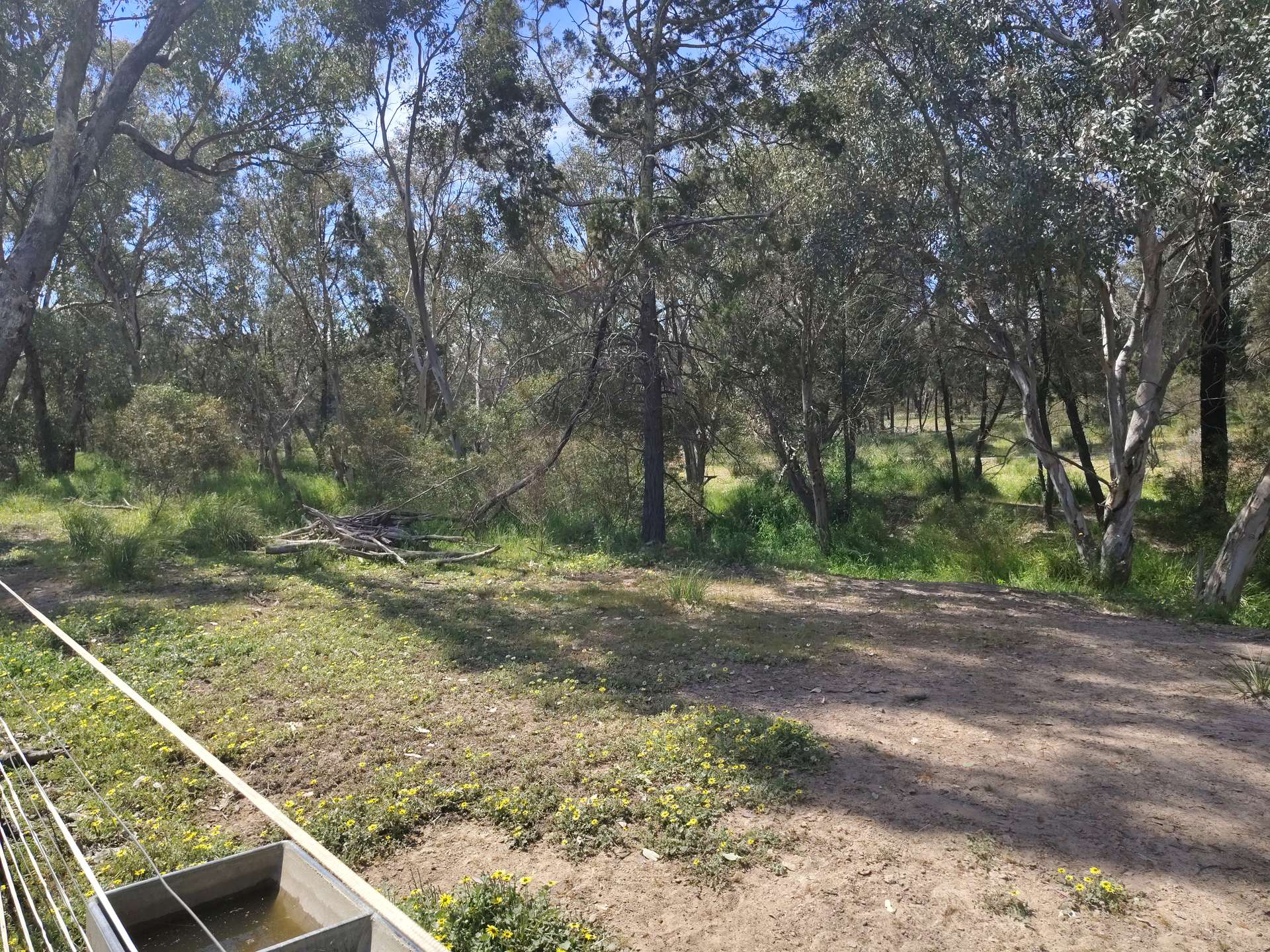 36C Makins Street, Grenfell For Sale by Farmbuy.com - image 13