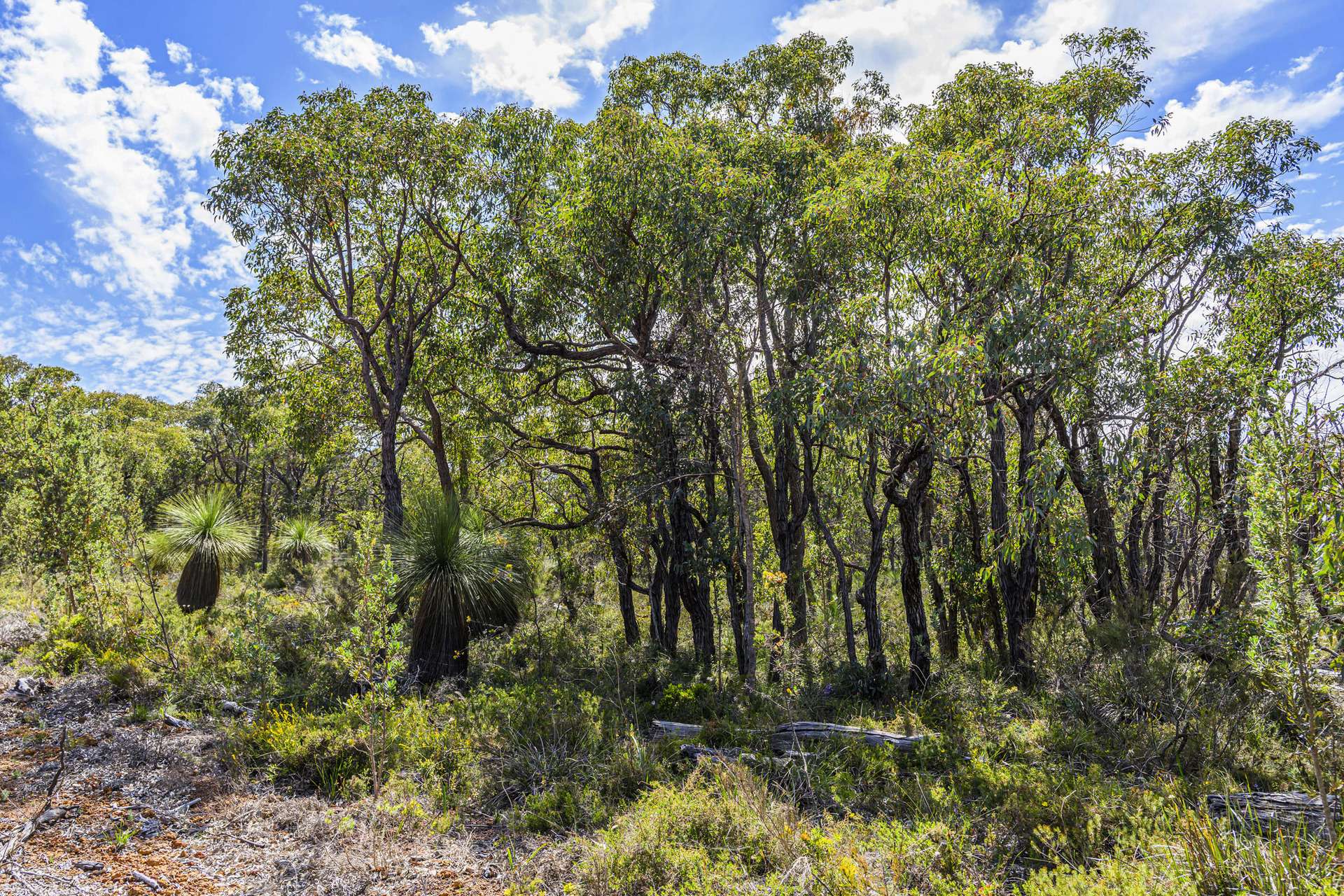 8 Nova Rise, Lower Chittering For Sale by Farmbuy.com - image 28