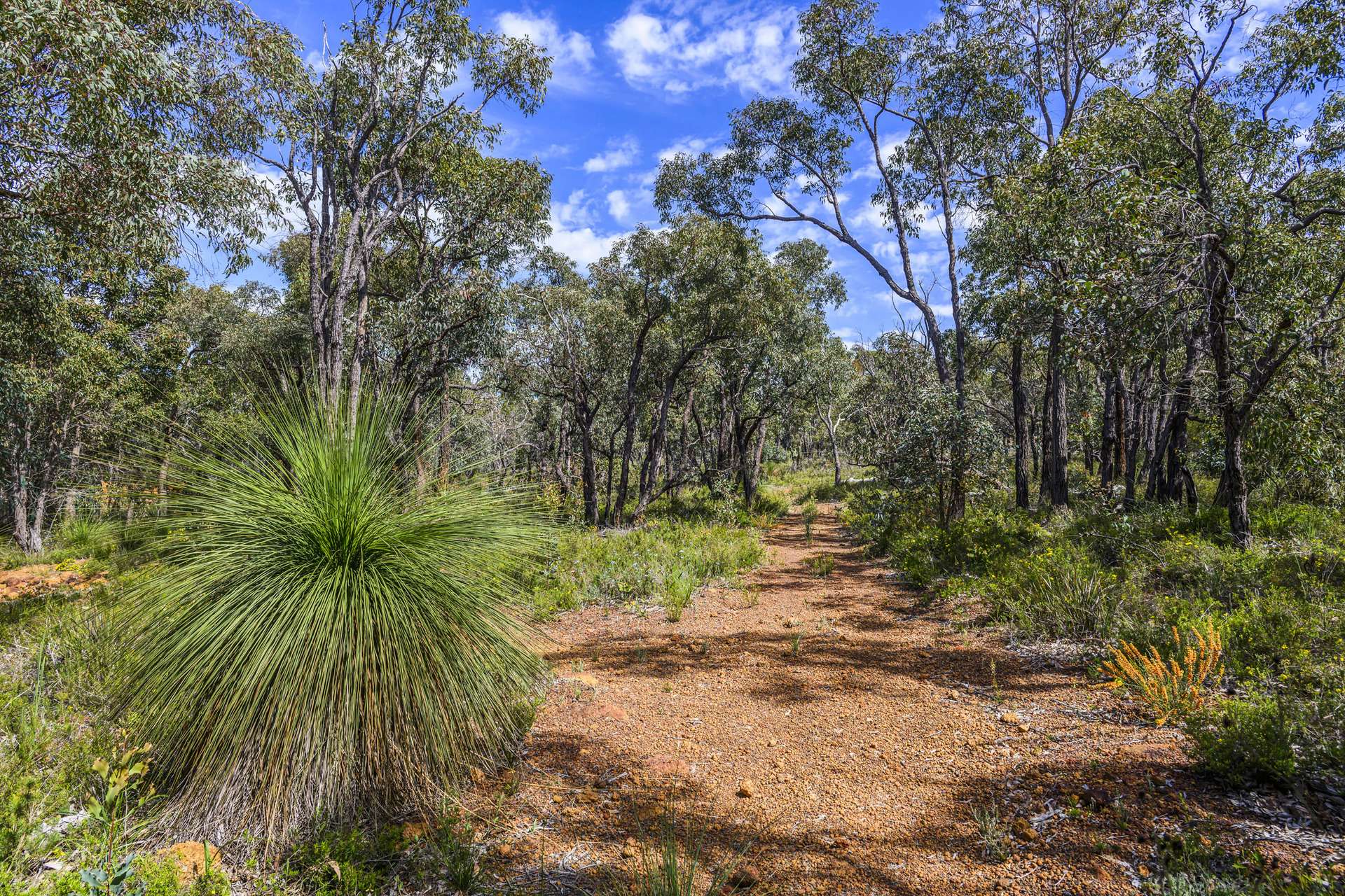 8 Nova Rise, Lower Chittering For Sale by Farmbuy.com - image 26