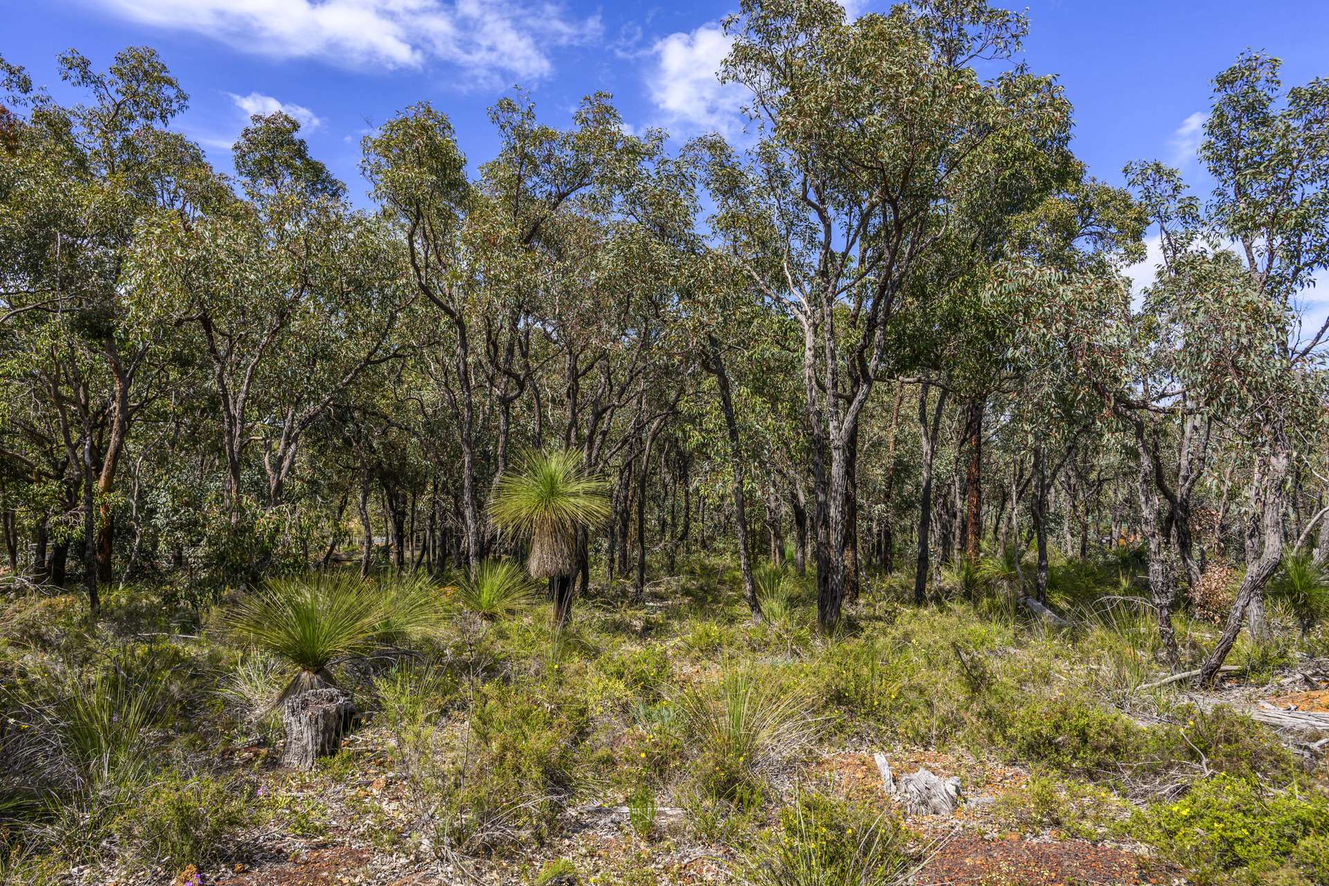 8 Nova Rise, Lower Chittering For Sale by Farmbuy.com - image 29