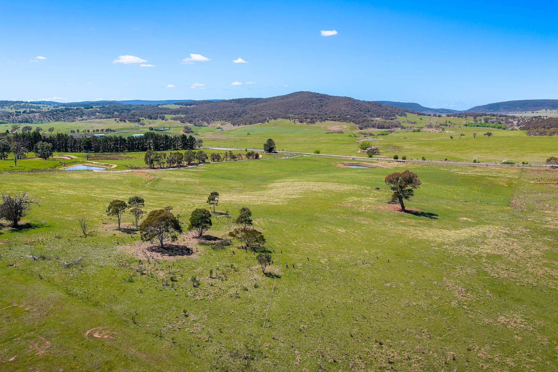 Lot 1 Taralga Road, Tarlo Via, Goulburn Auction by Farmbuy.com - image 6