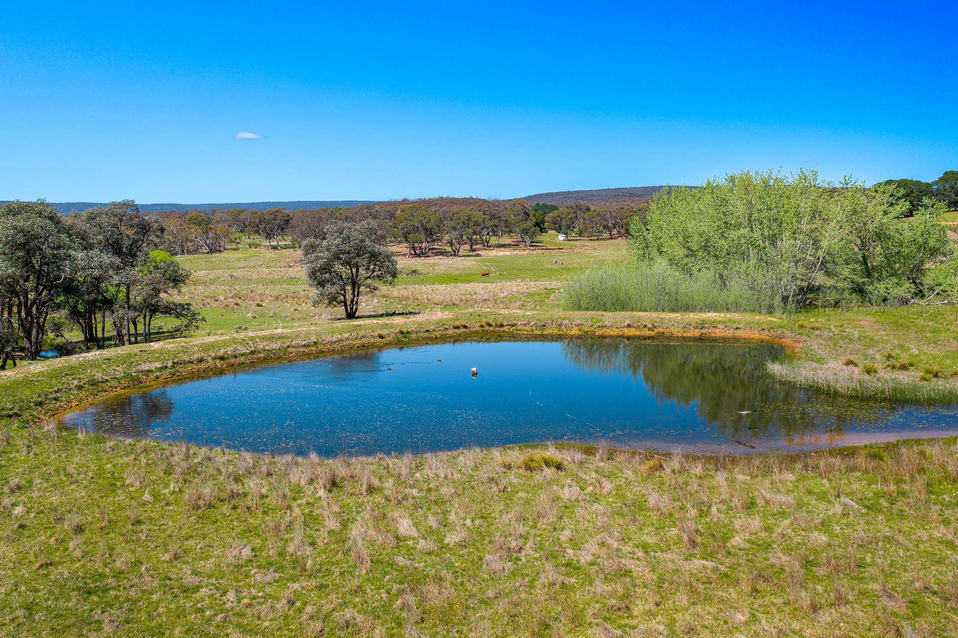 Lot 1 Taralga Road, Tarlo Via, Goulburn Auction by Farmbuy.com - image 5