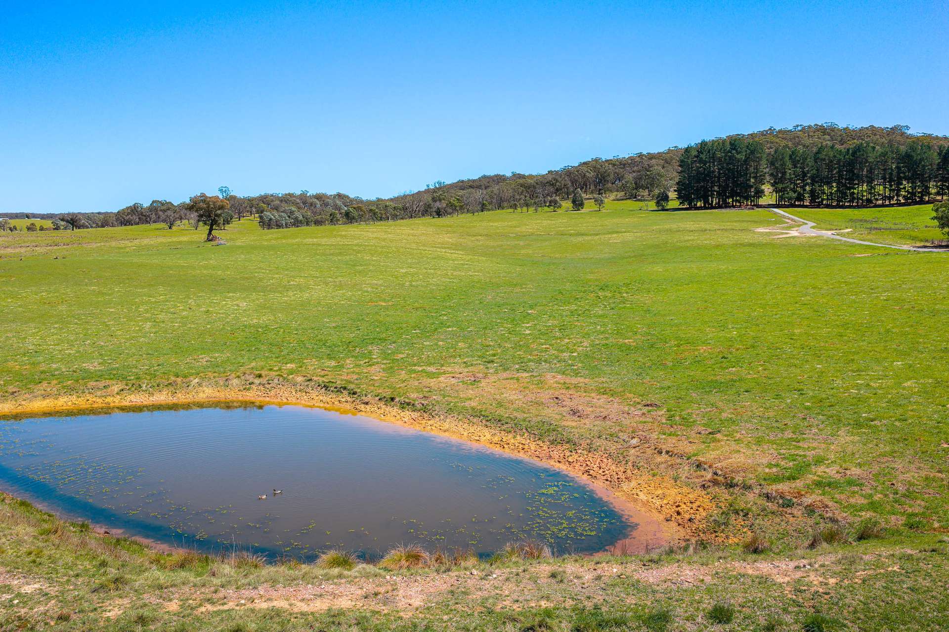 Lot 1 Taralga Road, Tarlo Via, Goulburn Auction by Farmbuy.com - image 3