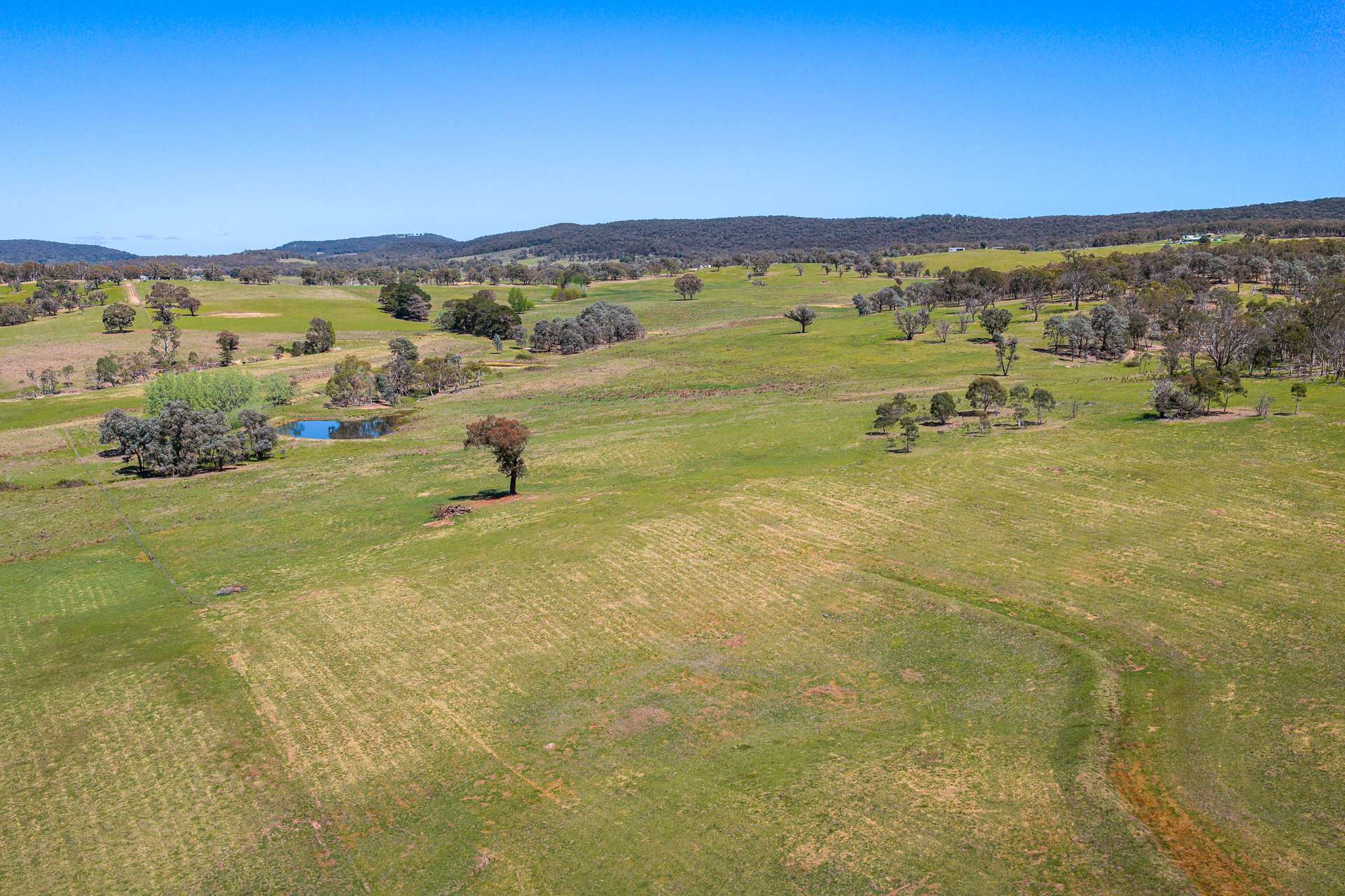 Lot 1 Taralga Road, Tarlo Via, Goulburn Auction by Farmbuy.com - image 4