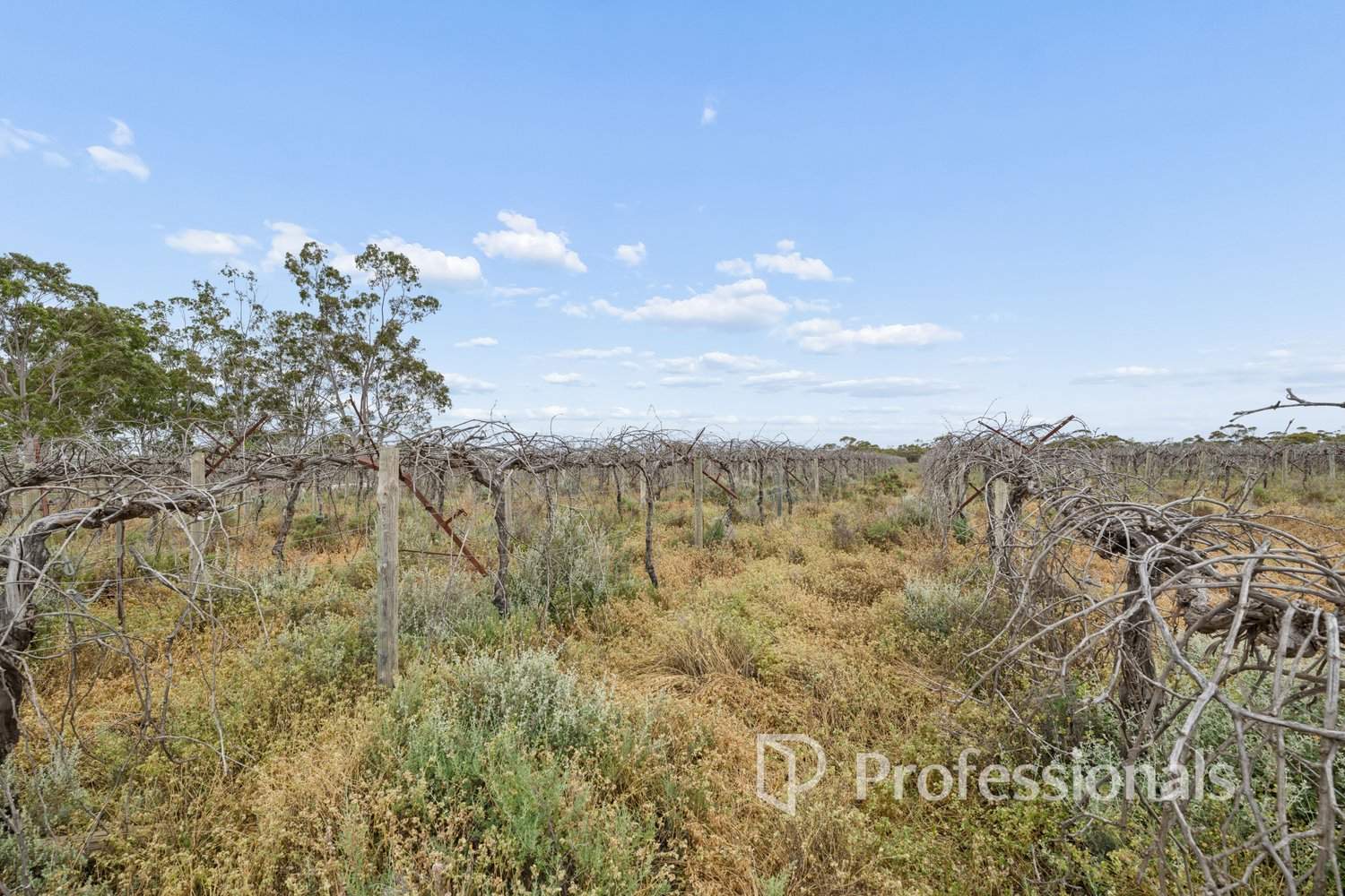 Lots 2 & 3 Dow Avenue, Cabarita For Sale by Farmbuy.com - image 4