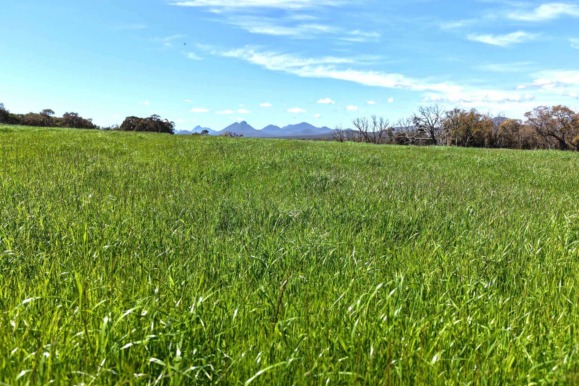 1865 Salt River Road, Cranbrook For Sale by Farmbuy.com - image 10