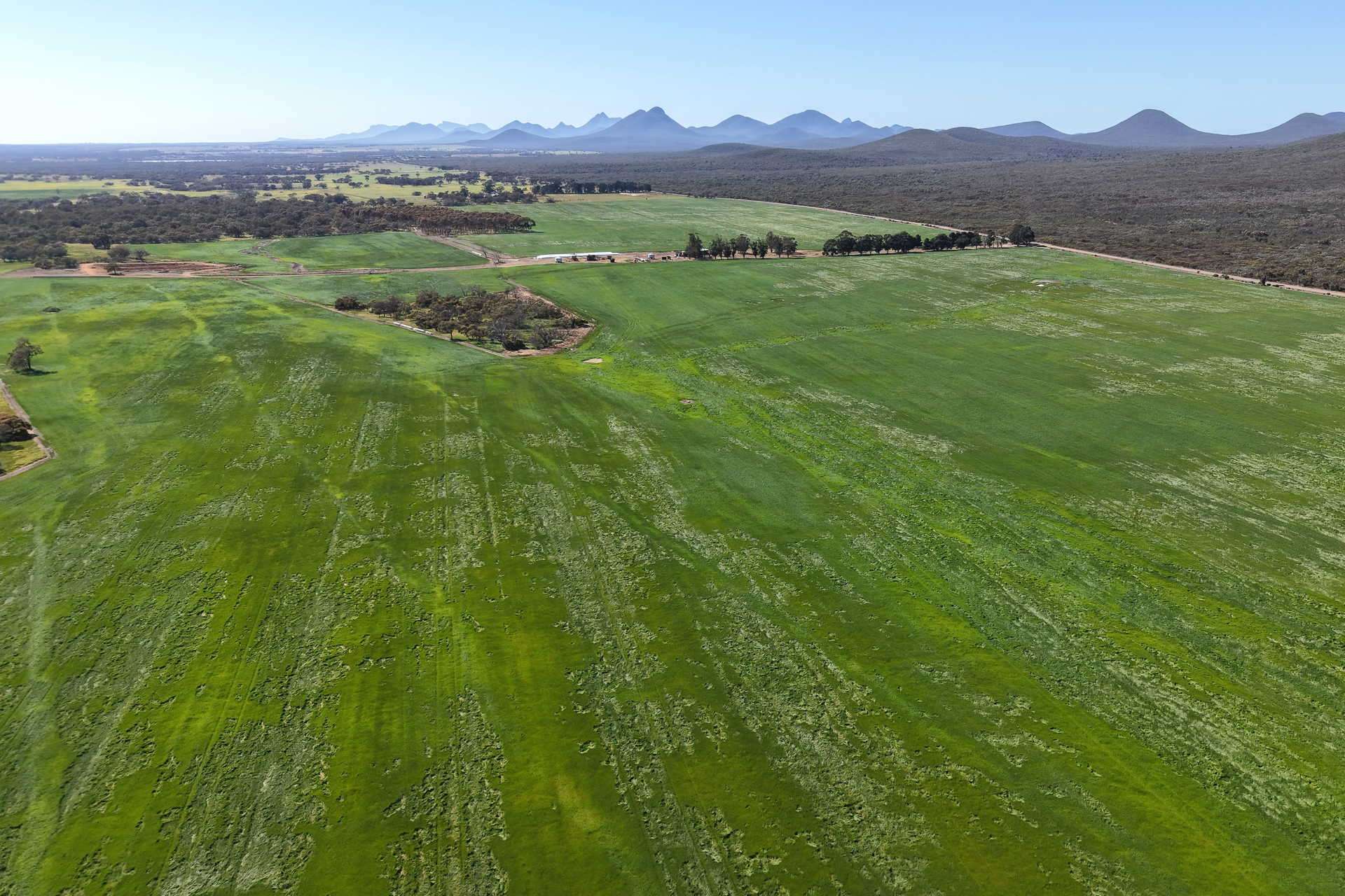 1865 Salt River Road, Cranbrook For Sale by Farmbuy.com - image 13